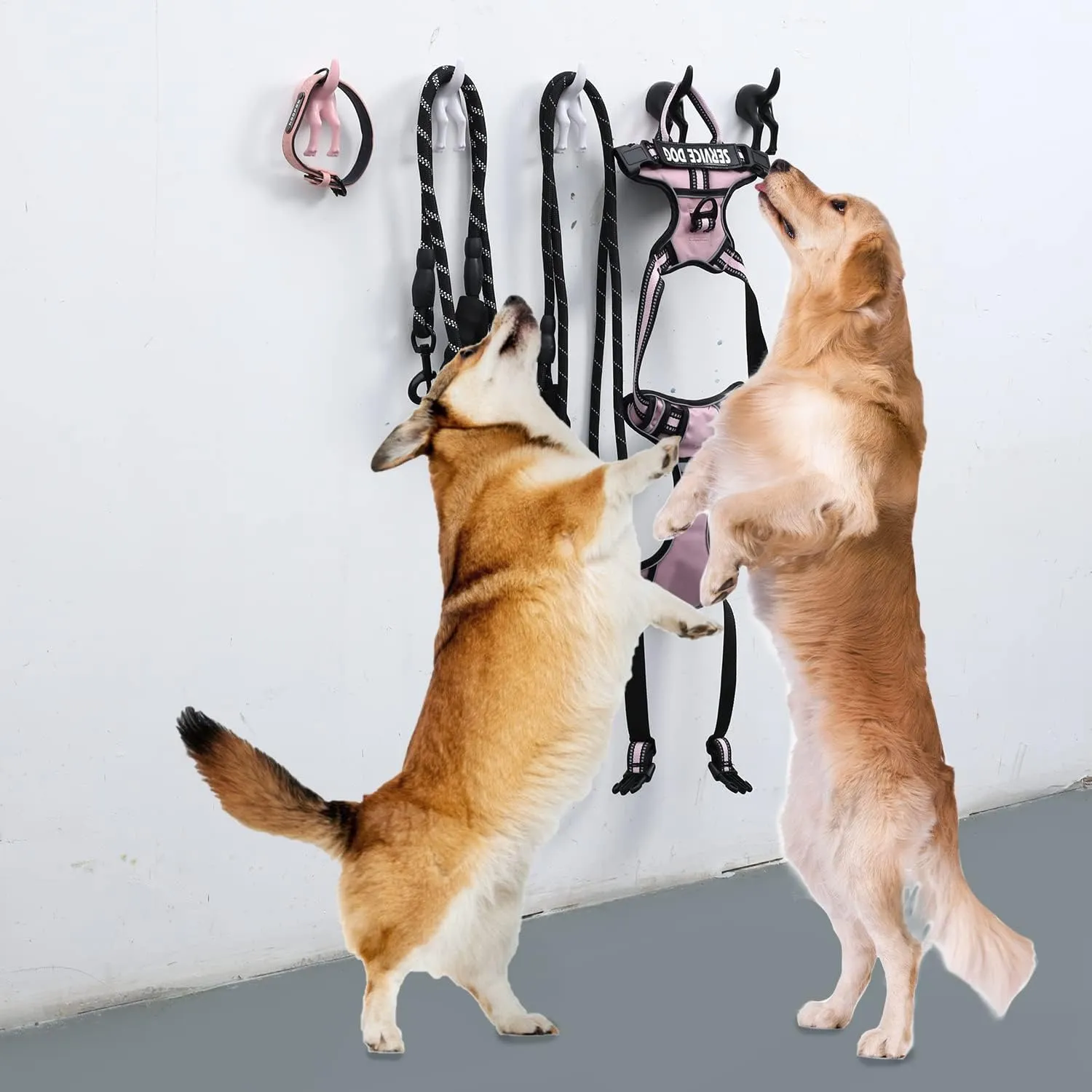 5 Pack Dog Tail Coat Hooks for Wall