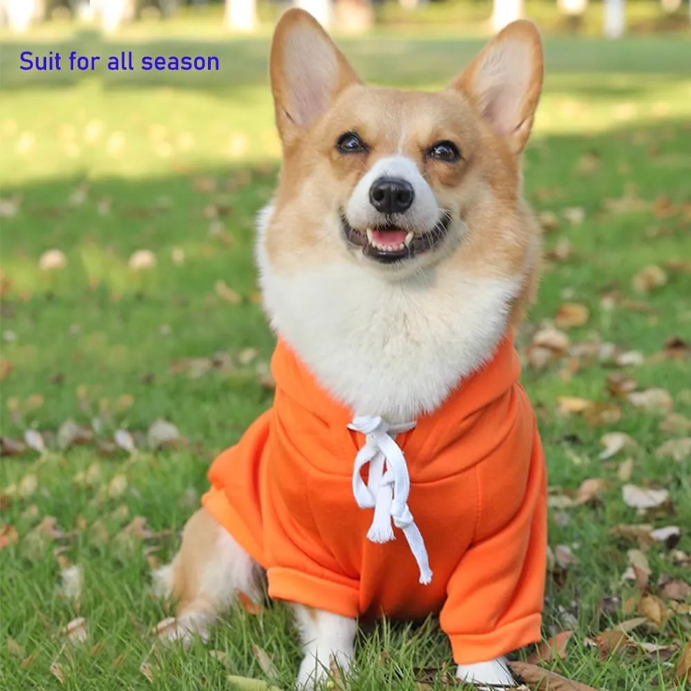 ANIAC Funny Pet Clothes for Small Dog Cat Carrot Hoodies Warm Sweatshirt Coat With Fruit Hood Fall Puppy Cat Sweater Halloween Easter Carrot Costume (Orange, XX-Large)