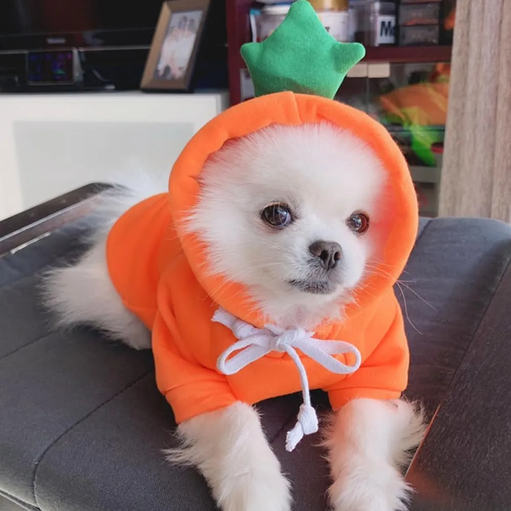ANIAC Funny Pet Clothes for Small Dog Cat Carrot Hoodies Warm Sweatshirt Coat With Fruit Hood Fall Puppy Cat Sweater Halloween Easter Carrot Costume (Orange, XX-Large)