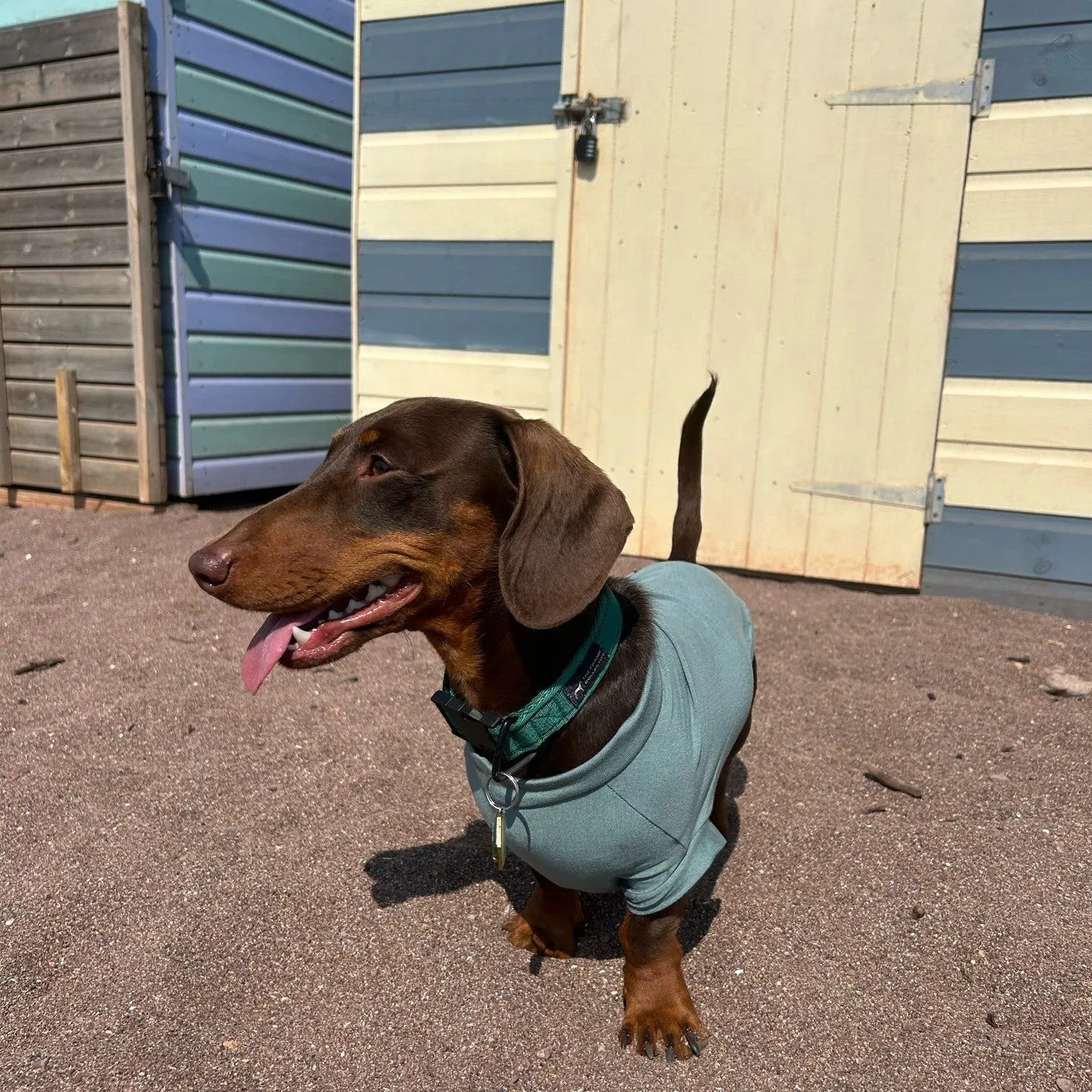 Bamboo Cooling & Anti Allergy Dog T-Shirt