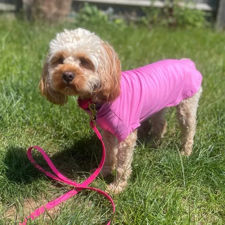 Bamboo Cooling & Anti Allergy Dog T-Shirt