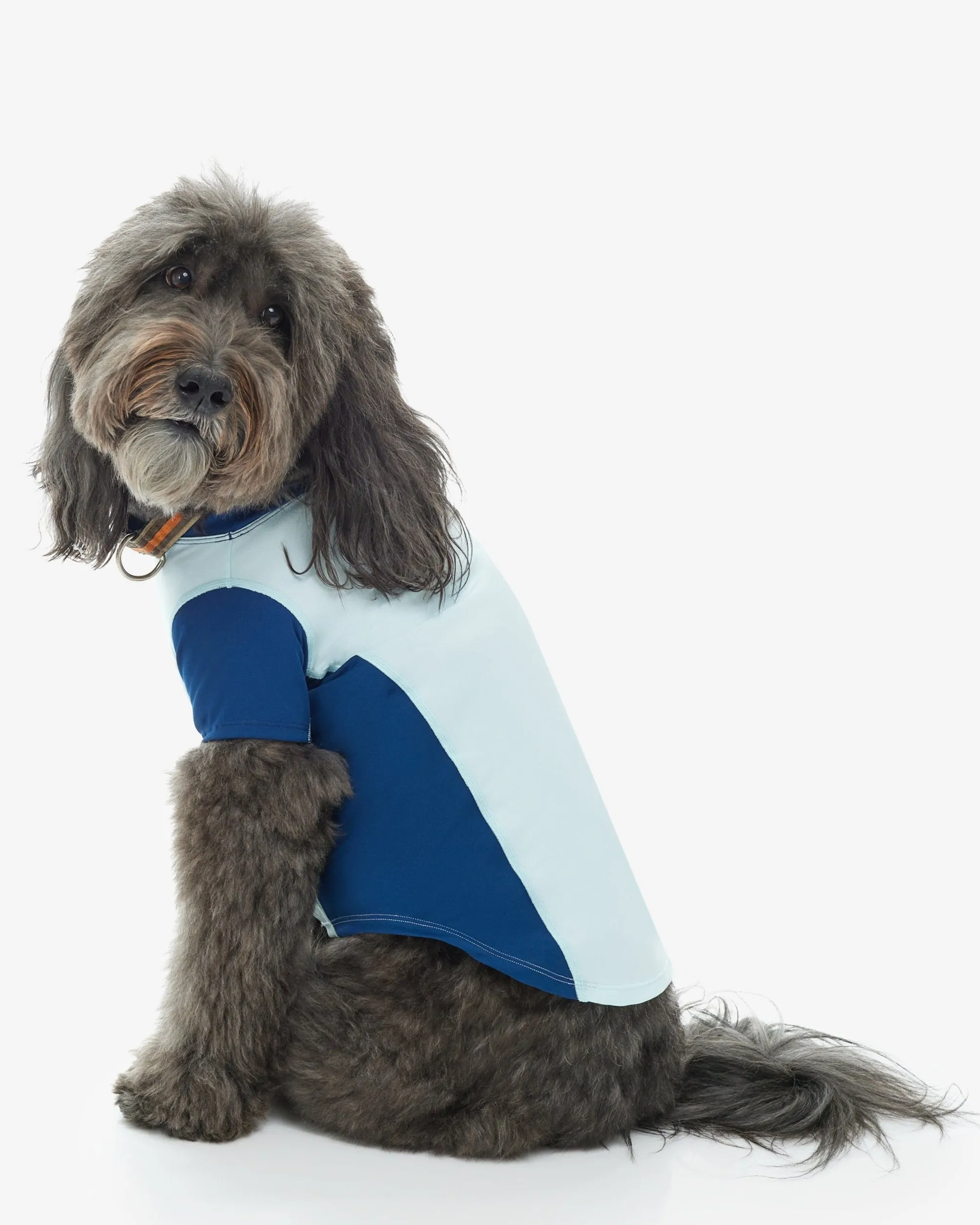 BarkUV -  Unisex Dog Sun Shirt (7000)