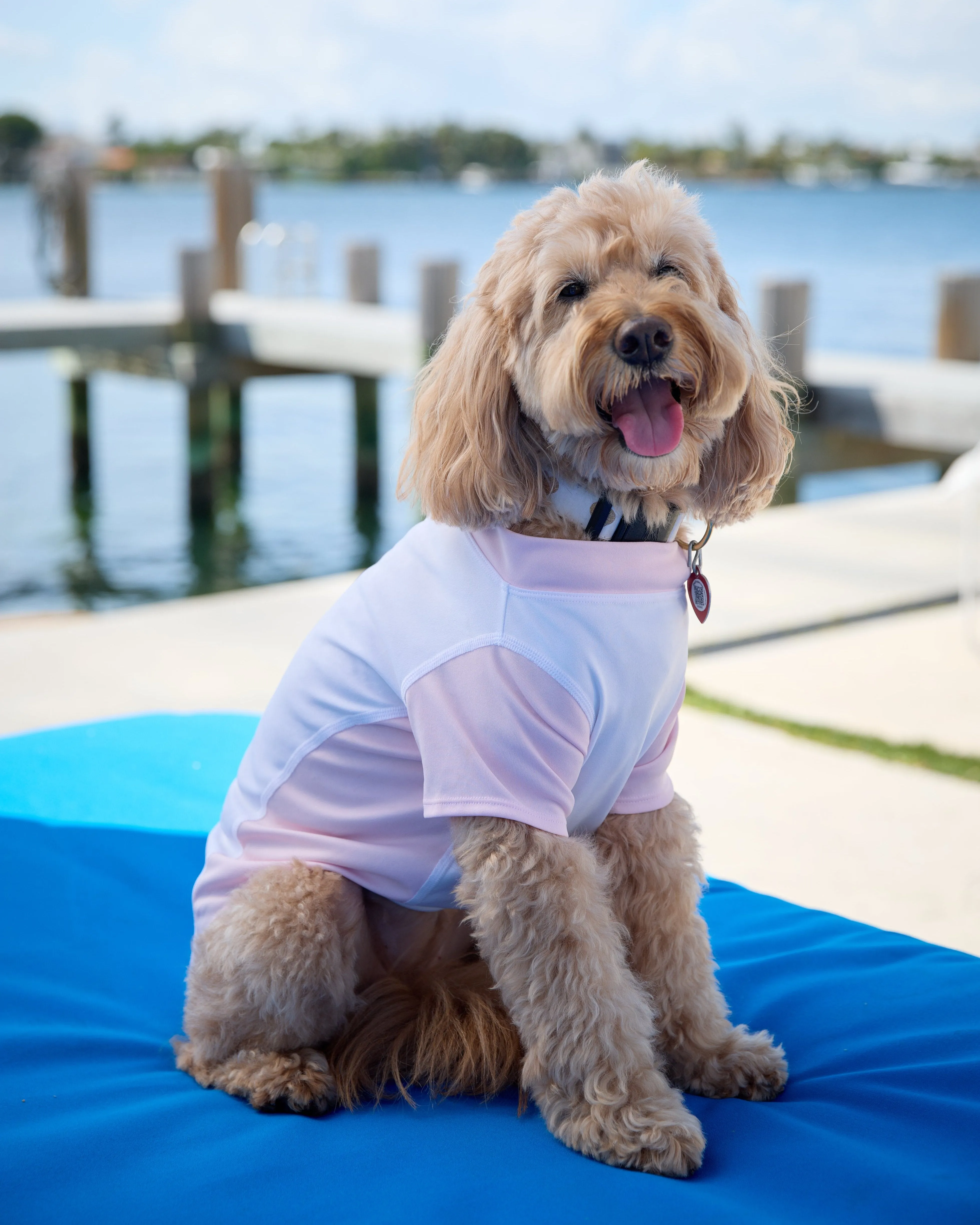 BarkUV -  Unisex Dog Sun Shirt (7000)