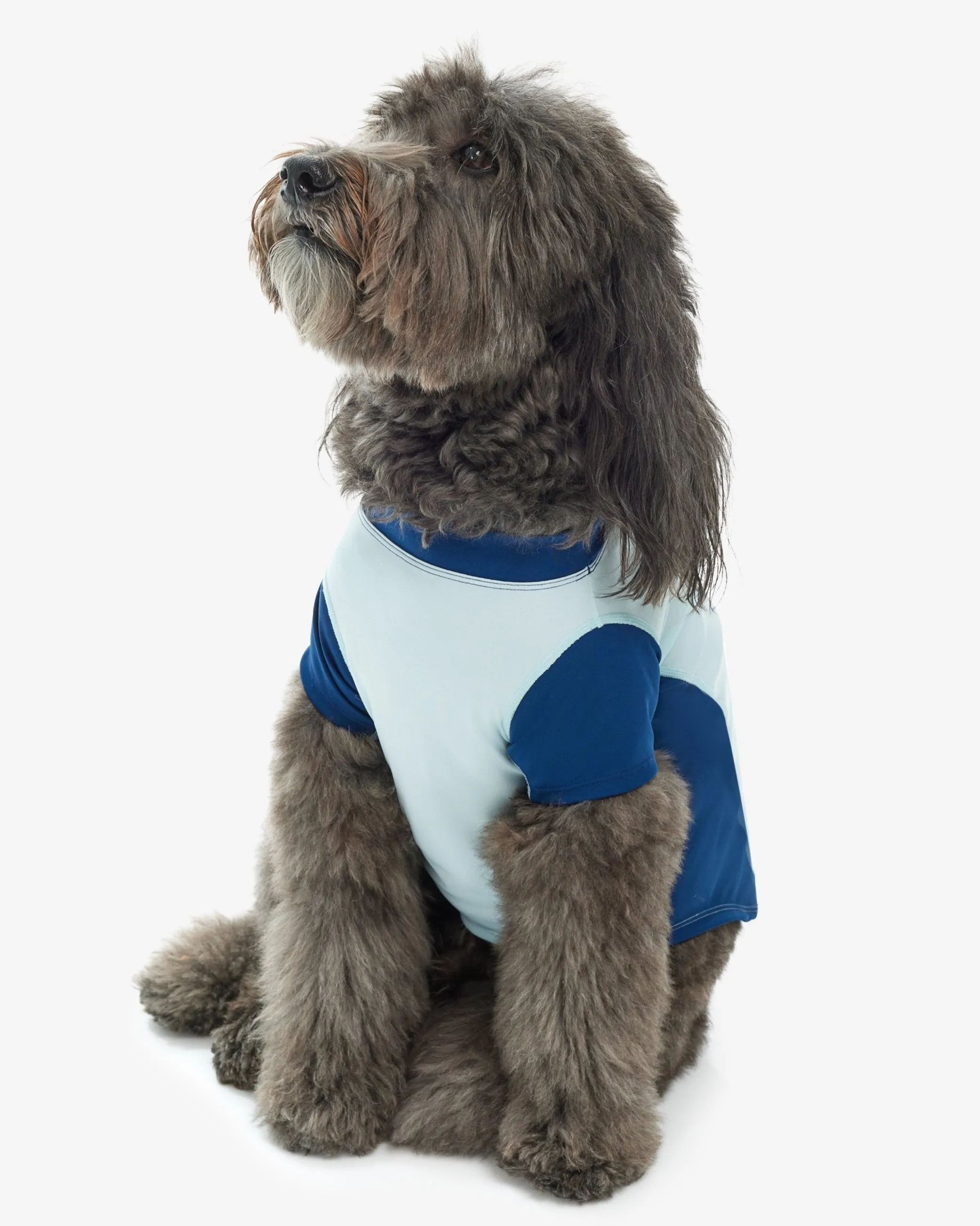 BarkUV -  Unisex Dog Sun Shirt (7000)