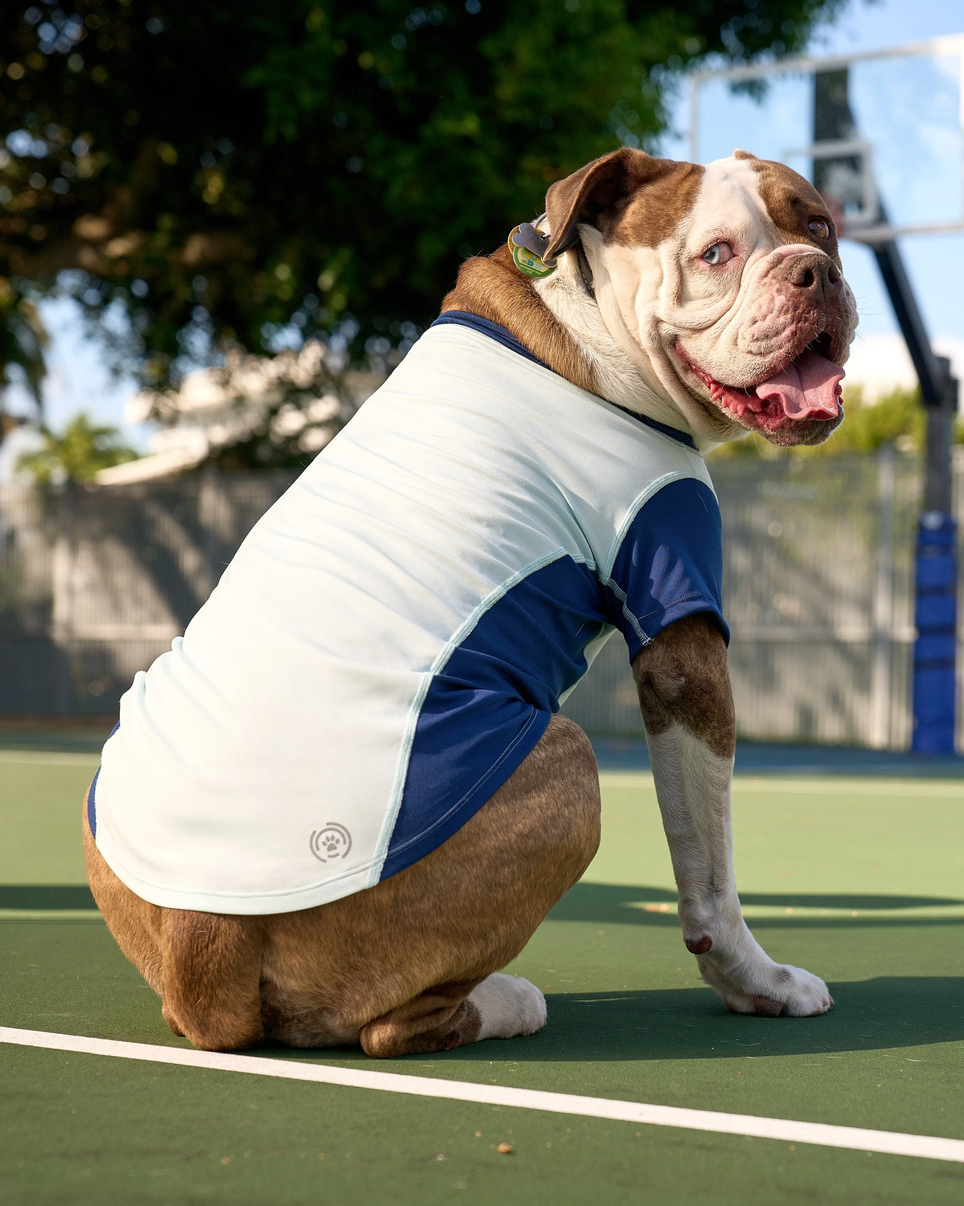 BarkUV -  Unisex Dog Sun Shirt (7000)