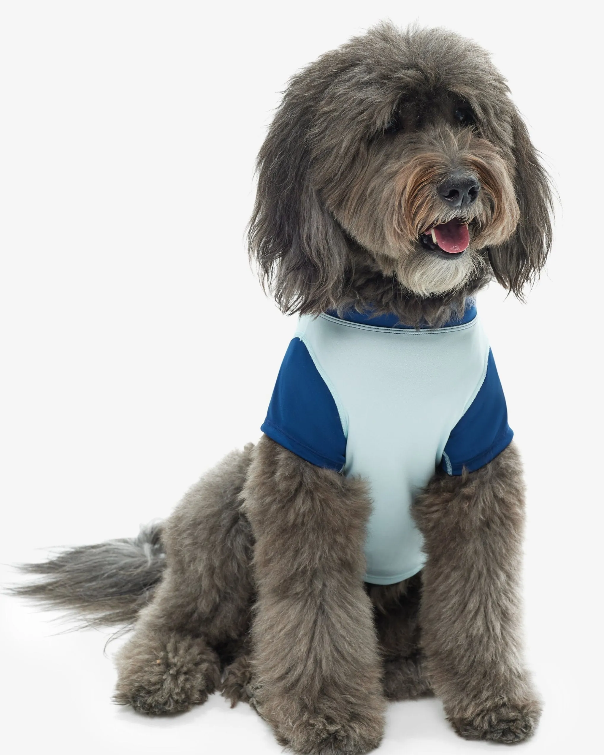 BarkUV -  Unisex Dog Sun Shirt (7000)