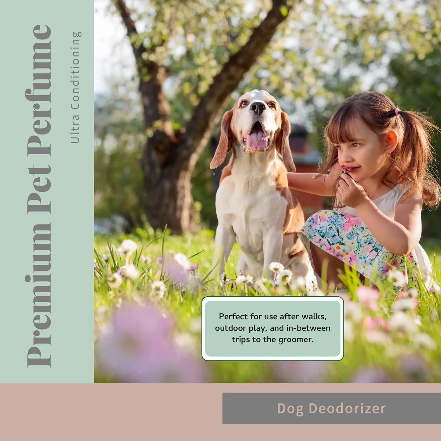 Begley's Pet Cologne and Deodorizer - Premium Essential Oil Dog Perfume Spray Long Lasting and Pet Odor Eliminator - Cat Perfume and Dog Cologne Spray - Peppermint - 4 oz