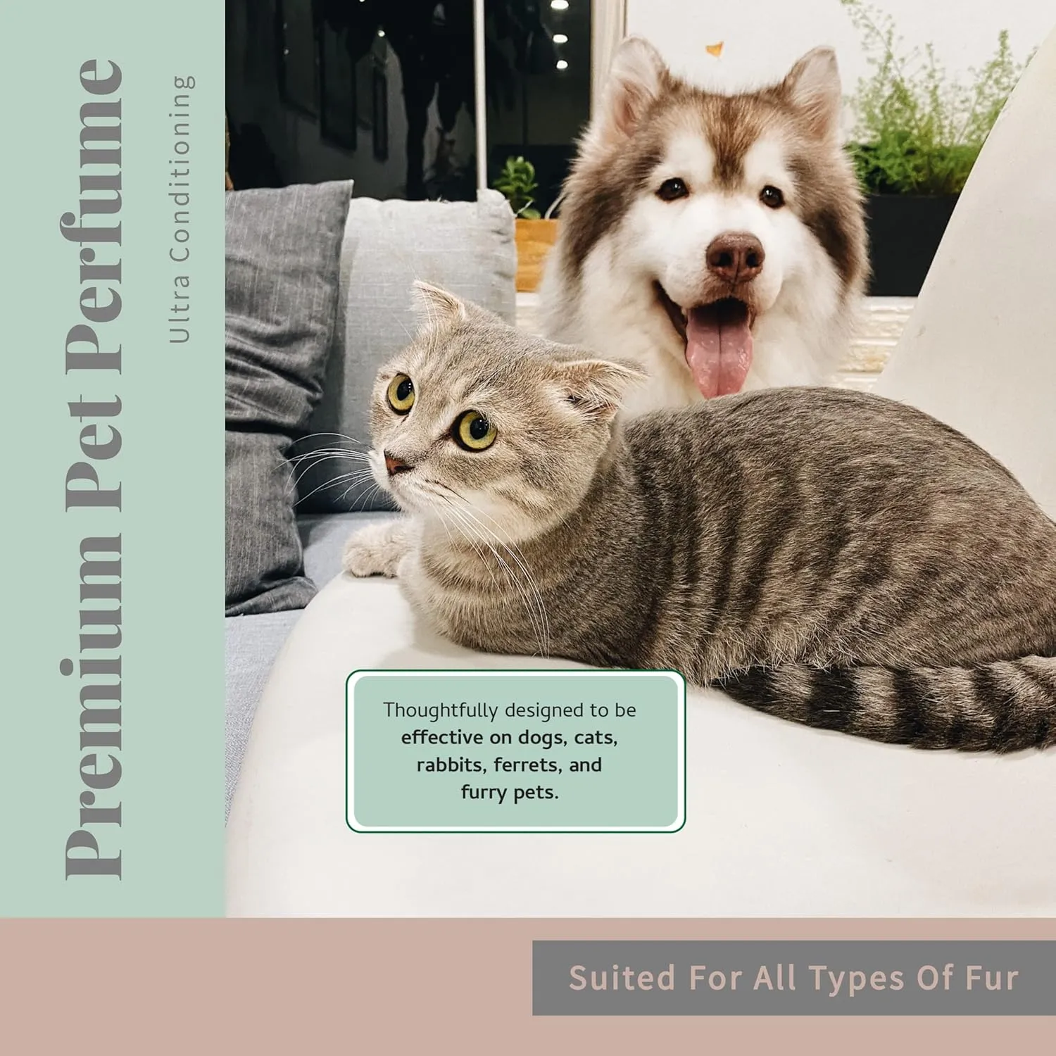 Begley's Pet Cologne and Deodorizer - Premium Essential Oil Dog Perfume Spray Long Lasting and Pet Odor Eliminator - Cat Perfume and Dog Cologne Spray - Peppermint - 4 oz