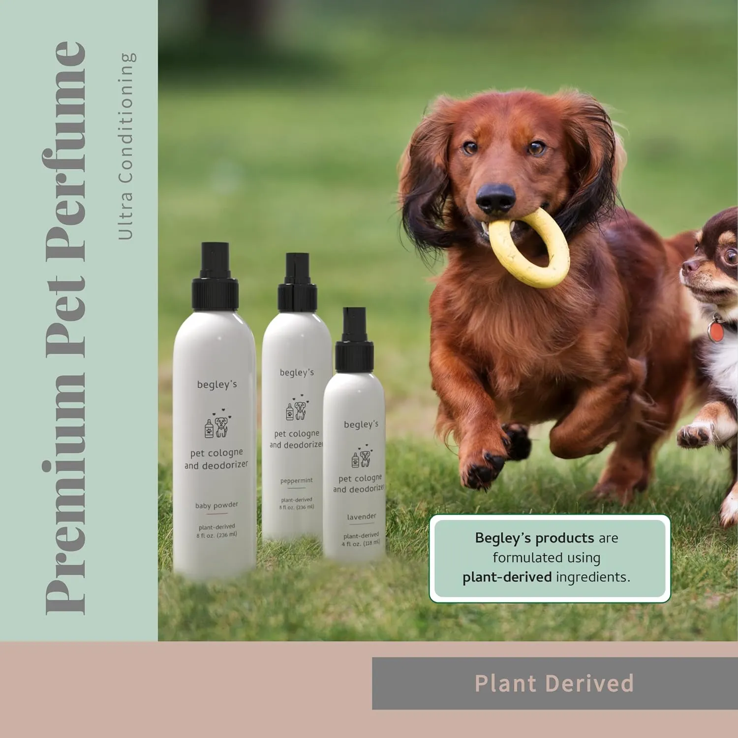 Begley's Pet Cologne and Deodorizer - Premium Essential Oil Dog Perfume Spray Long Lasting and Pet Odor Eliminator - Cat Perfume and Dog Cologne Spray - Peppermint - 4 oz
