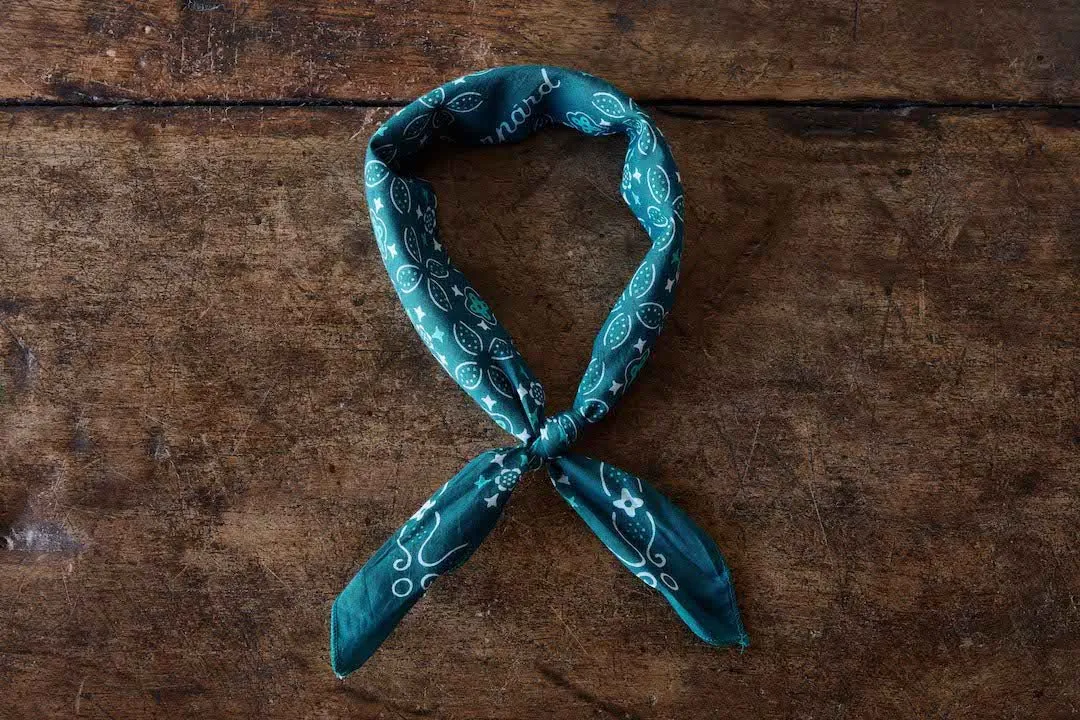 Bernard, Teal Bandana