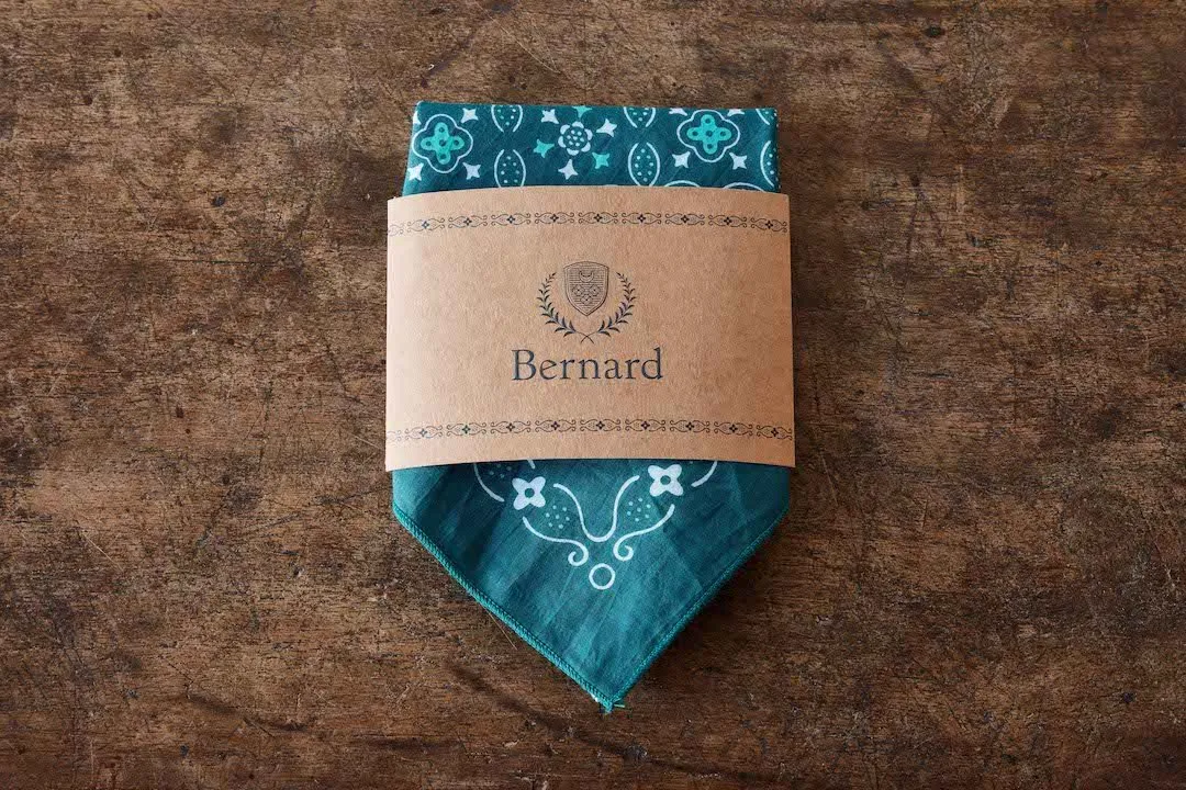 Bernard, Teal Bandana