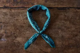 Bernard, Teal Bandana