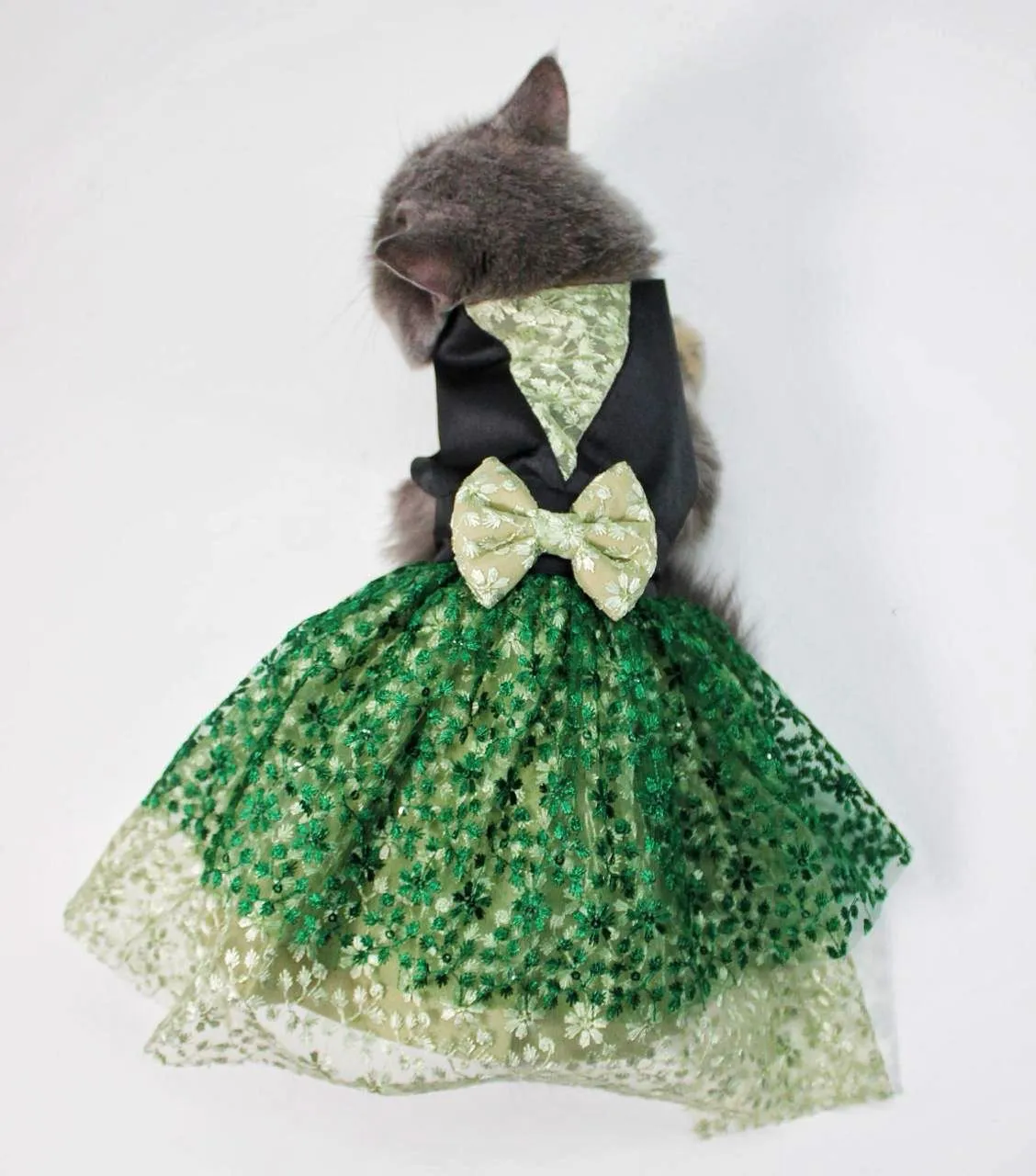 Black-Green Princess Dress