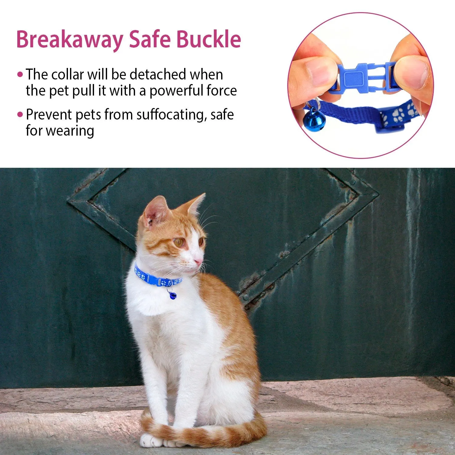 Ca2-Pack: Adjustable Kitten Collar with Bell Name Tag