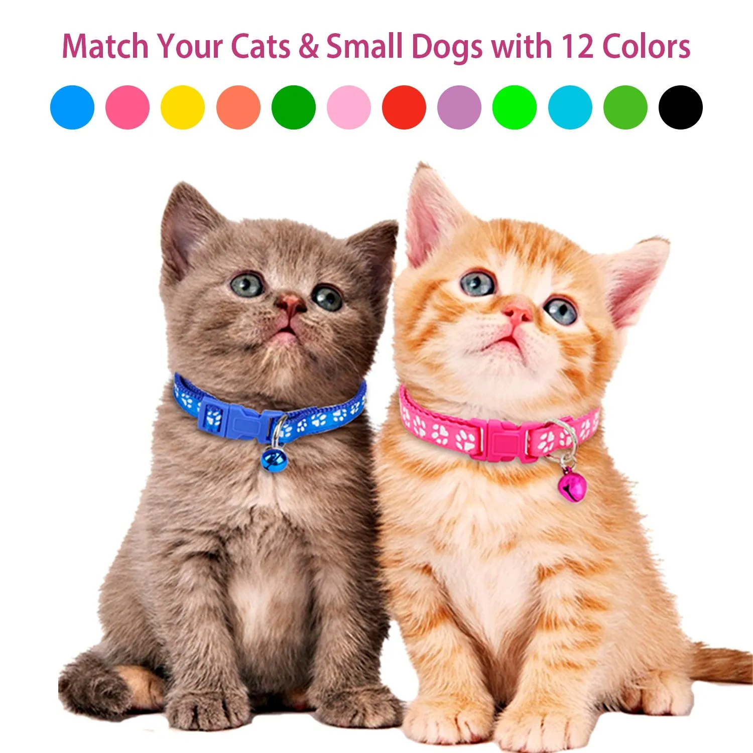 Ca2-Pack: Adjustable Kitten Collar with Bell Name Tag