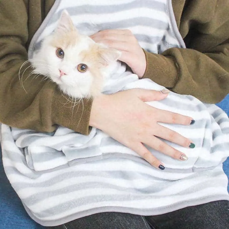 Cat Small Dog Clothes