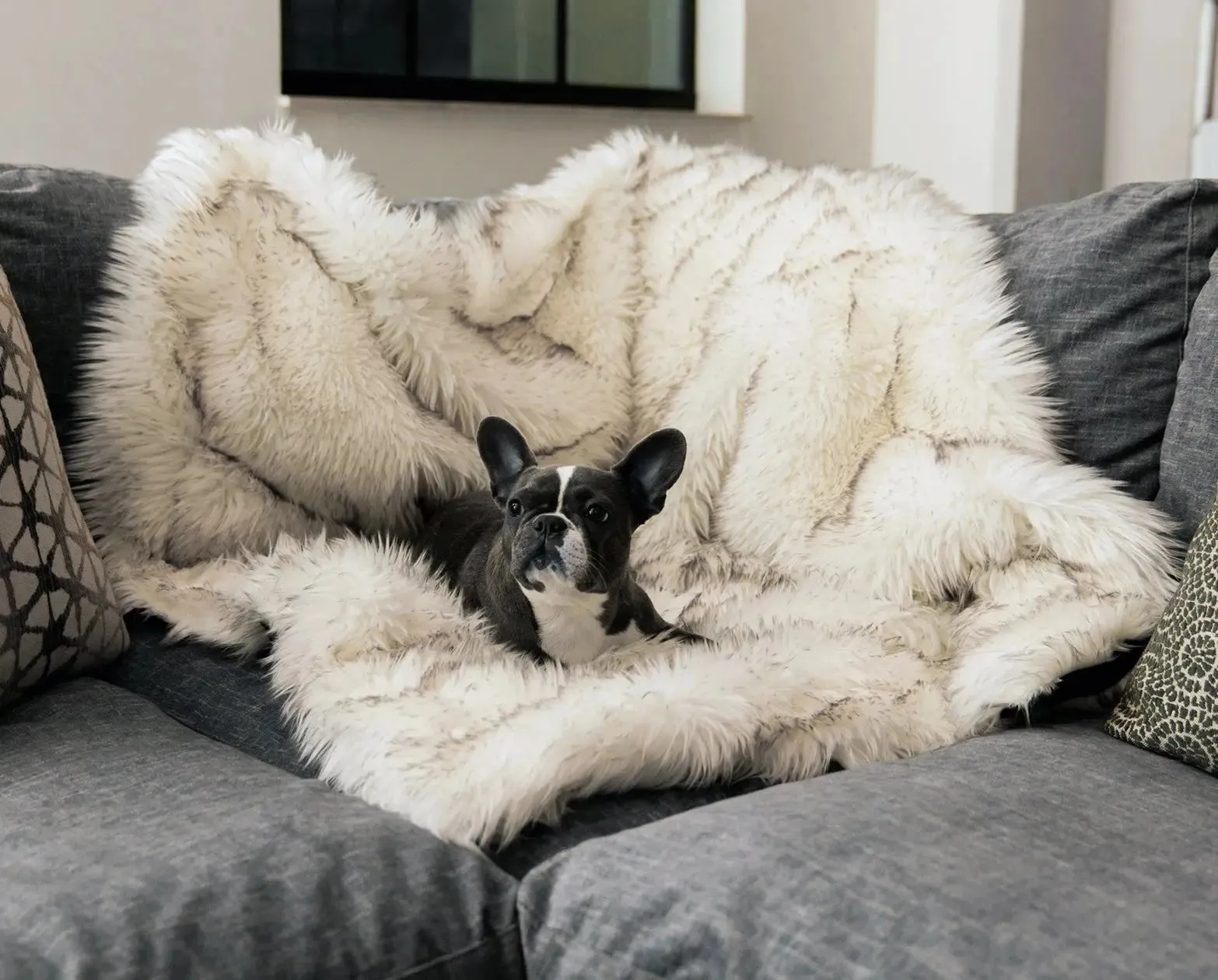 Dog and Cat warm mat perfect for the winter months
