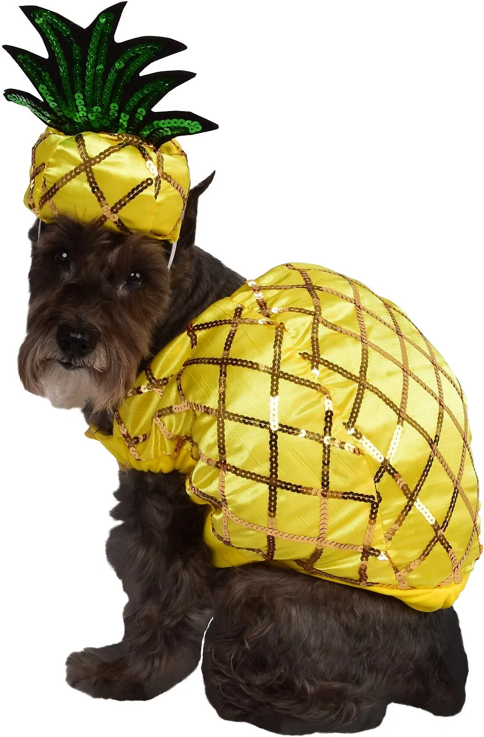 Dog Halloween Costumes | Pineapple