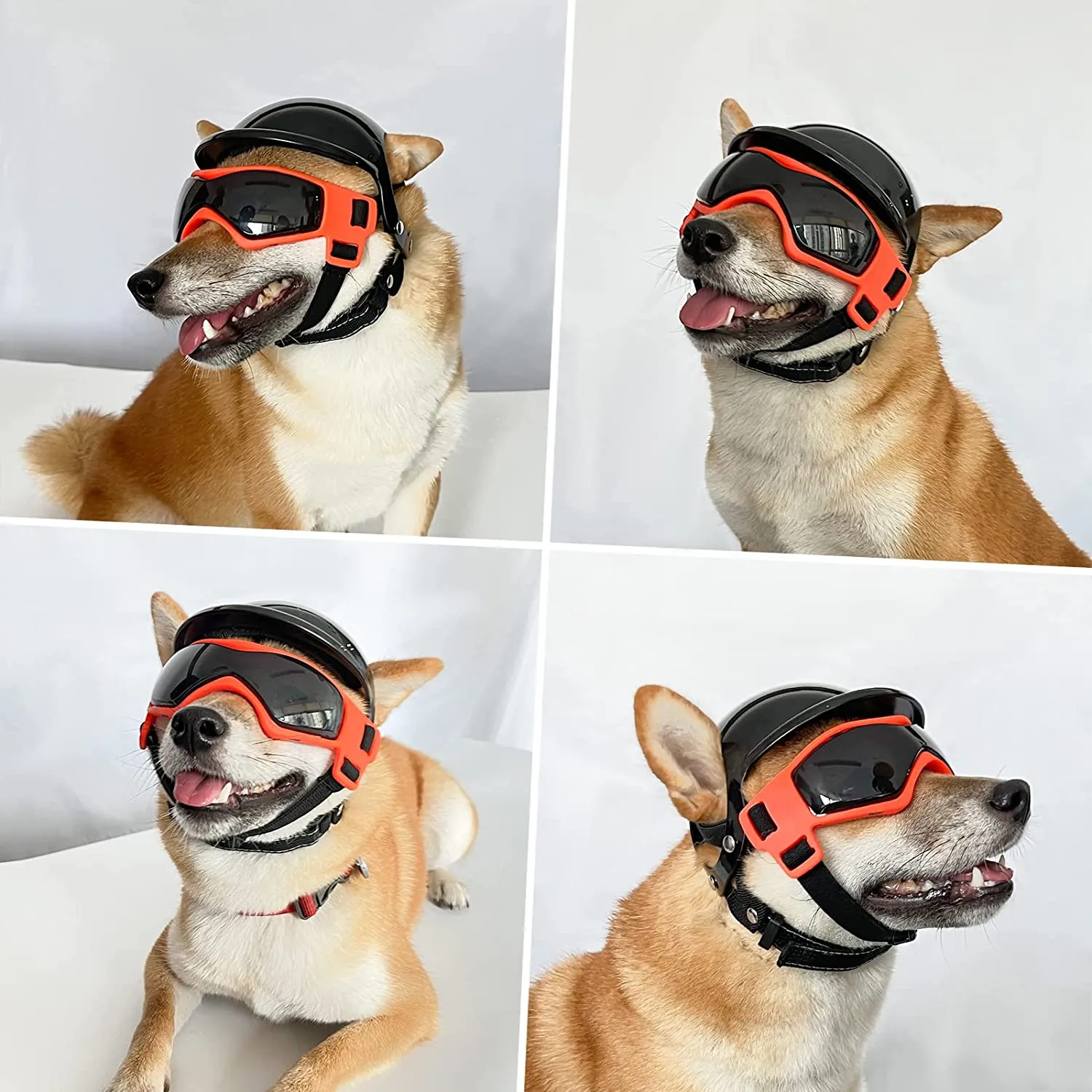 Dog Helmet & Goggles Set