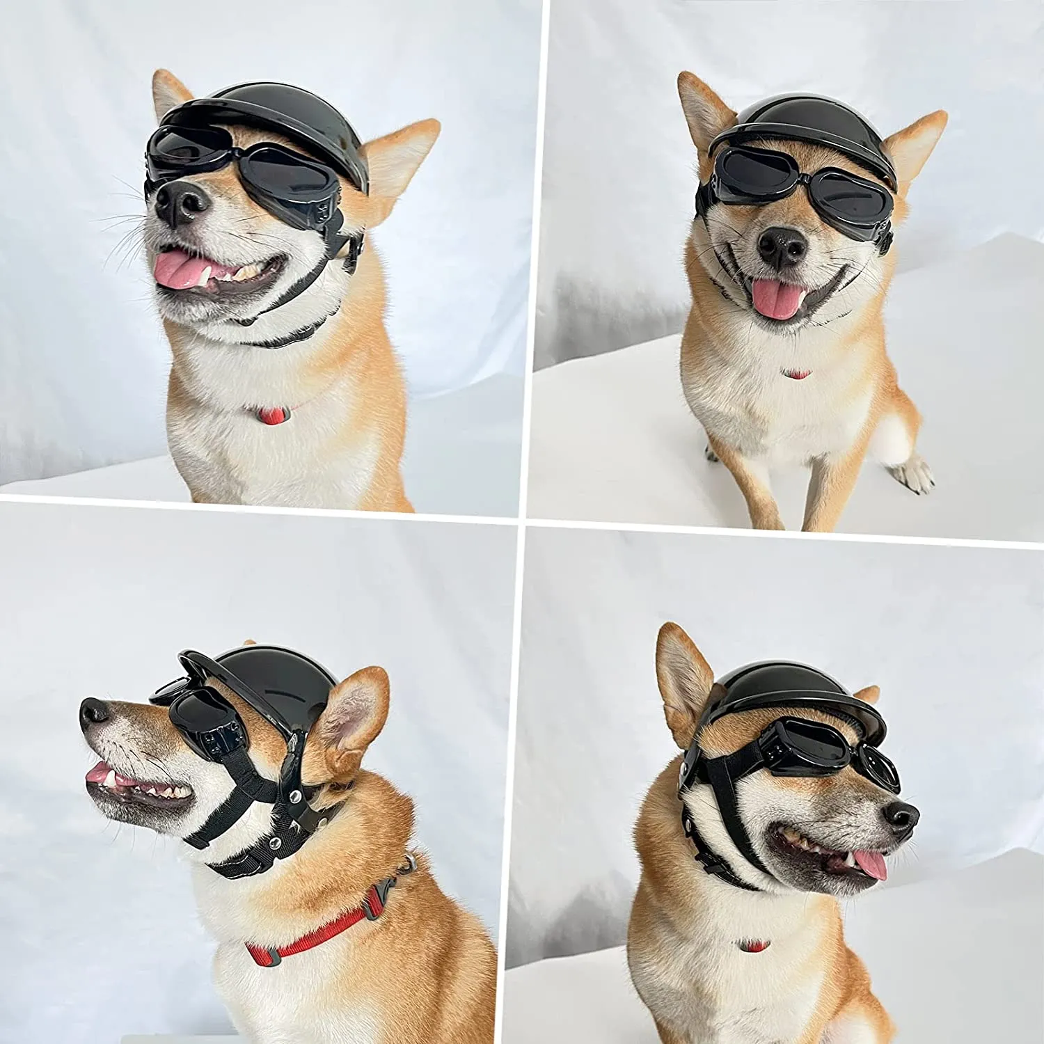 Dog Helmet & Goggles Set