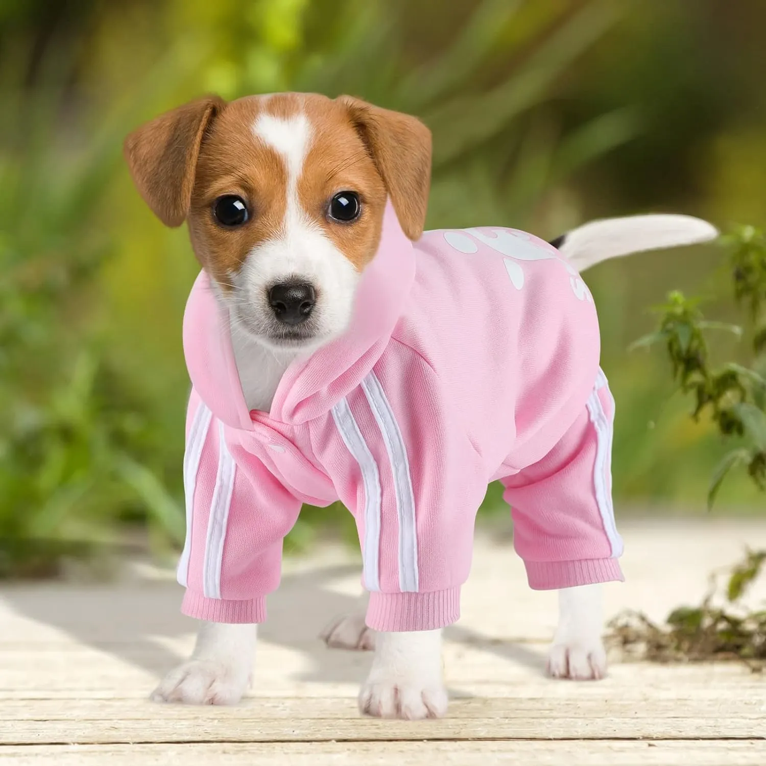 Dog Hoodie 4 Legs Jumpsuit for Small Dogs Puppy Clothes Dog Pullover Sweatshirt Cotton Doggie Winter Coat Cat Apparel (XX-Large,Pink)