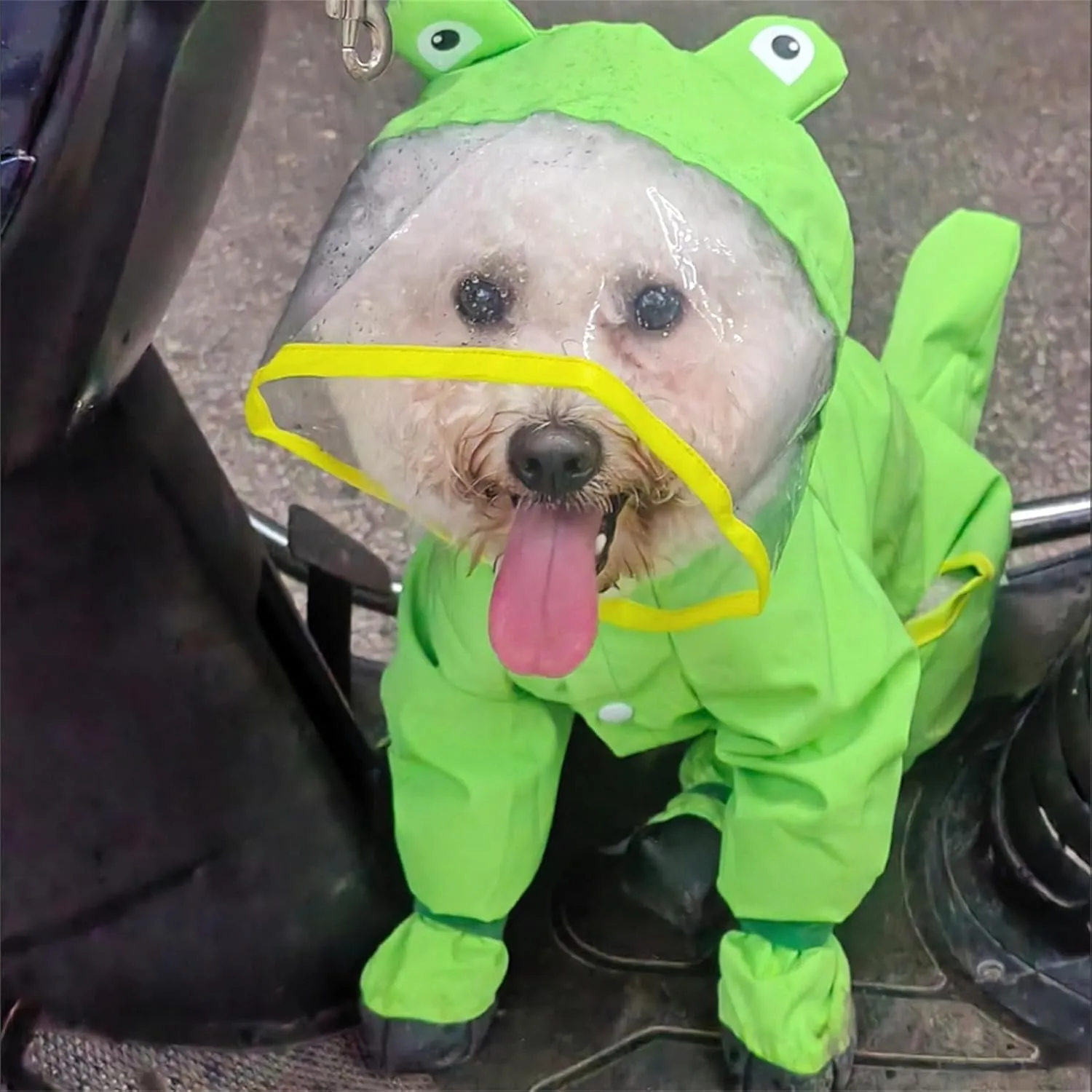 Dog Raincoat with Boots,Waterproof Dog Raincoats with Hood for Small Medium Large Dogs,Raincoat with Leash Ring (Green Frog, Small)