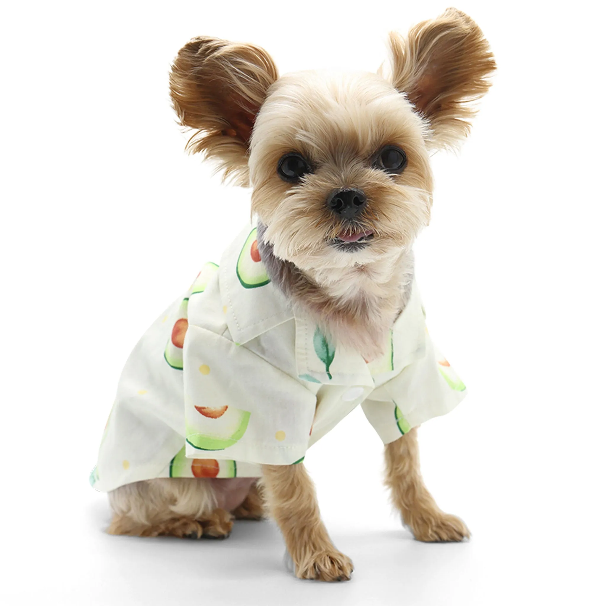 Dogo Pet Fashions Avocado Dog Shirt