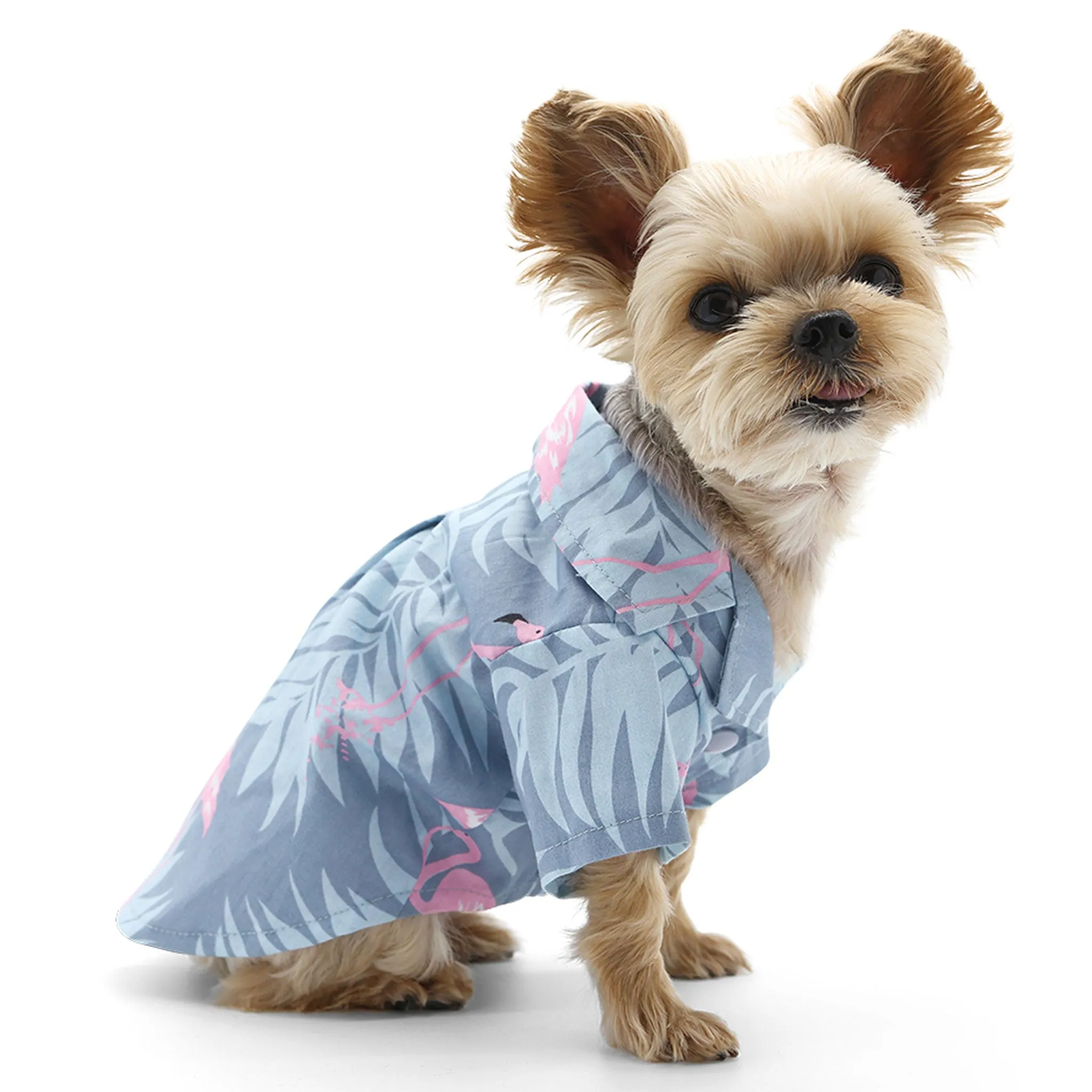 Dogo Pet Fashions Flamingo Dog Shirt