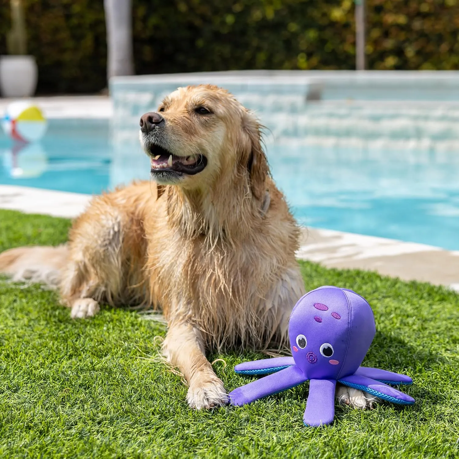 Fringe Studio "Bubbles Floating Dog Toys, Pet Shop Collection (640003)