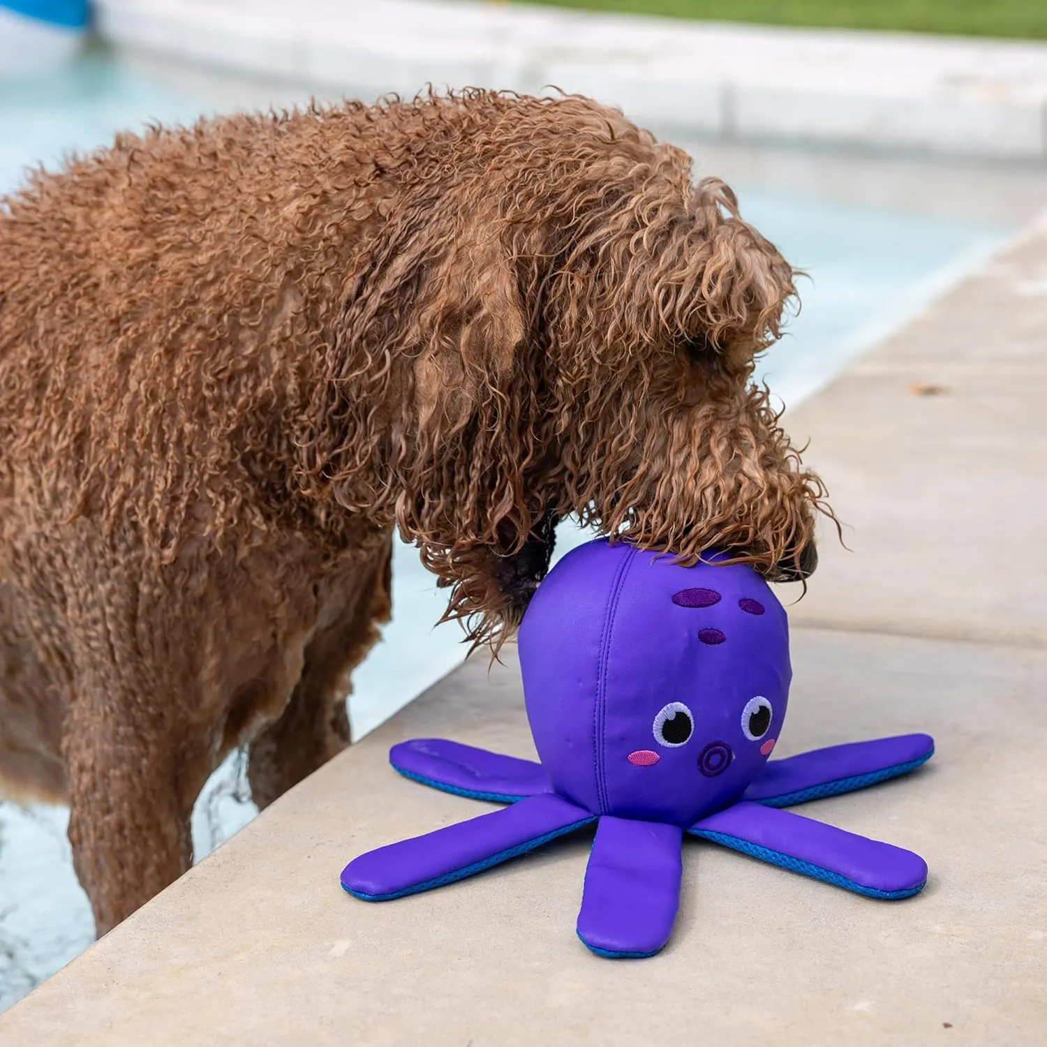Fringe Studio "Bubbles Floating Dog Toys, Pet Shop Collection (640003)