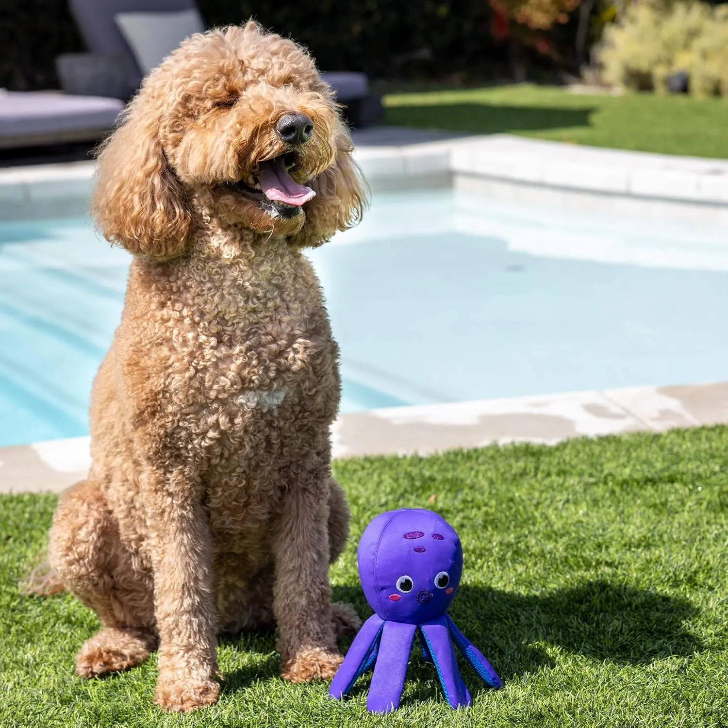 Fringe Studio "Bubbles Floating Dog Toys, Pet Shop Collection (640003)