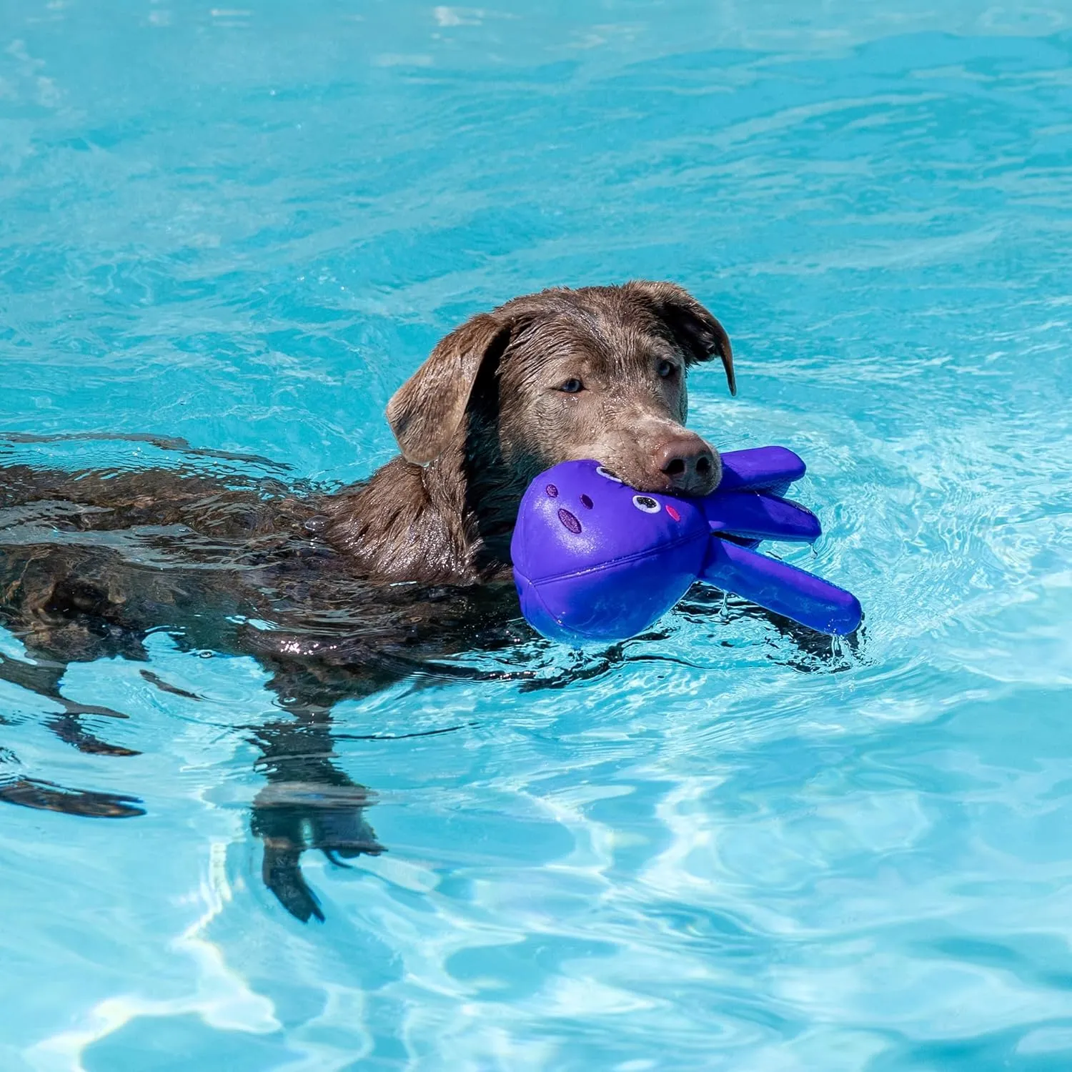 Fringe Studio "Bubbles Floating Dog Toys, Pet Shop Collection (640003)