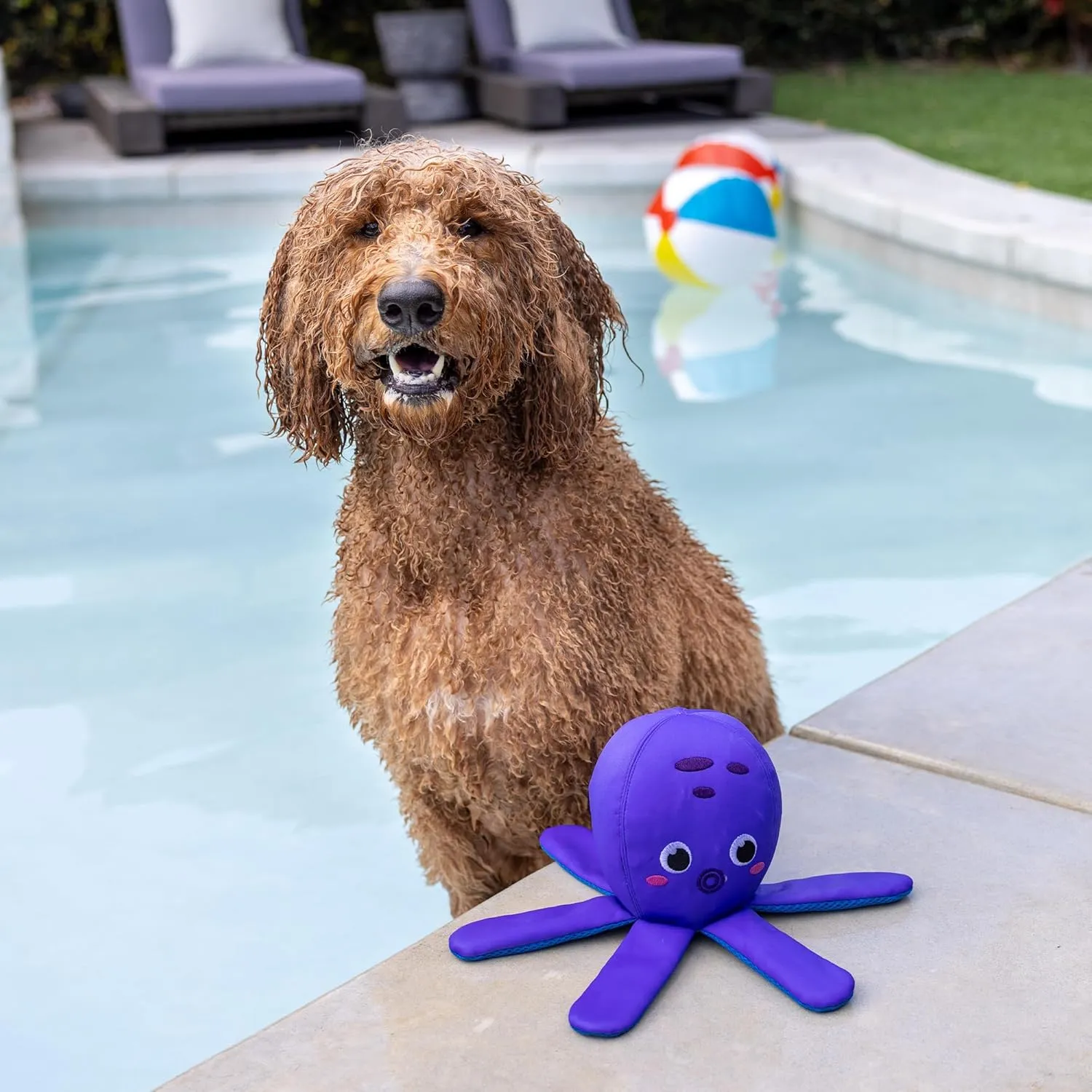 Fringe Studio "Bubbles Floating Dog Toys, Pet Shop Collection (640003)