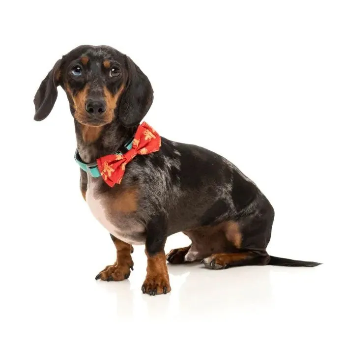 FuzzYard Naughty Ginger Bowtie Large