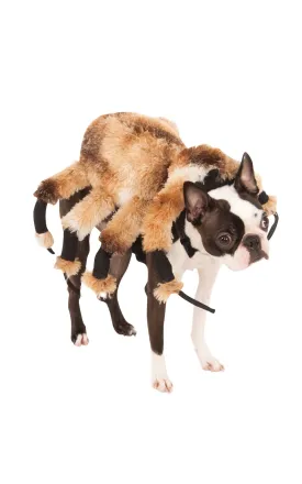 Giant Spider Dog Costume