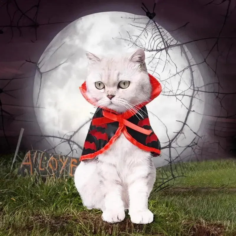 Halloween Pet Costumes For Cats
