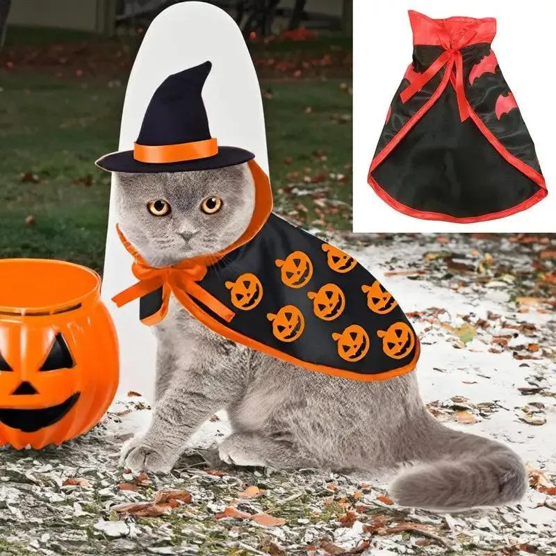 Halloween Pet Costumes For Cats