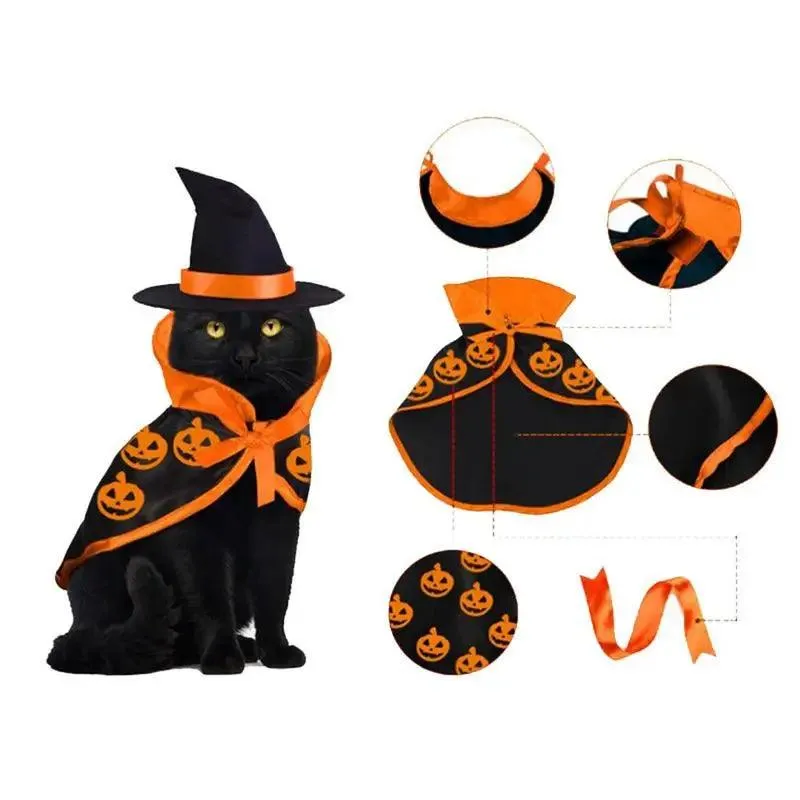 Halloween Pet Costumes For Cats