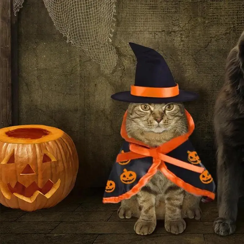 Halloween Pet Costumes For Cats