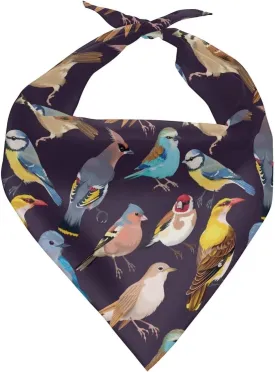 Howilath Colorful Birds Pet Kerchief Dog Scarf Accessories Washable Bandana, Scarf for Small to Large Dog, Puppy, Cat