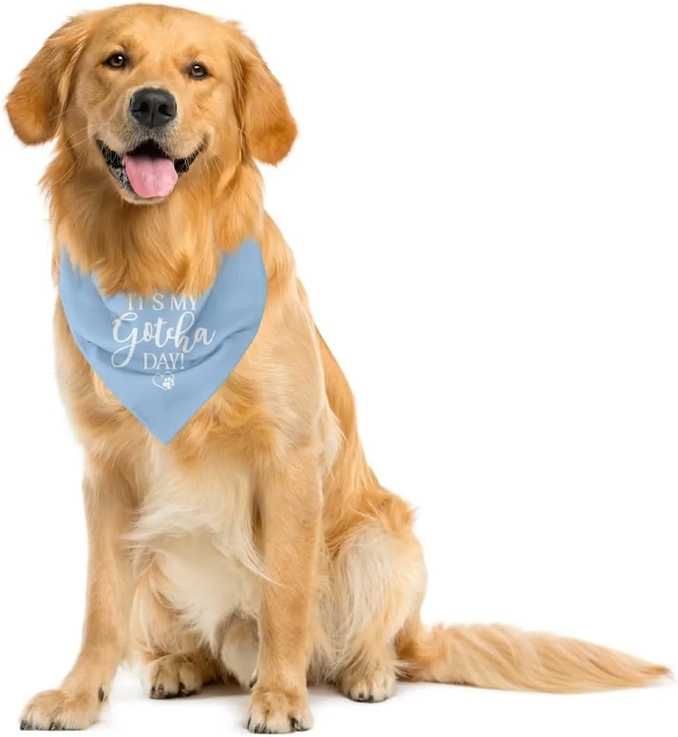 It's My Gotcha Day Dog Bandana, Blue Dog Bandana, Happy Gotcha Day, Dog Adoption Day, Pet Bandanas, Accessories for Dog Lover, Adoption Day Gifts, Pet Scarf (C56)