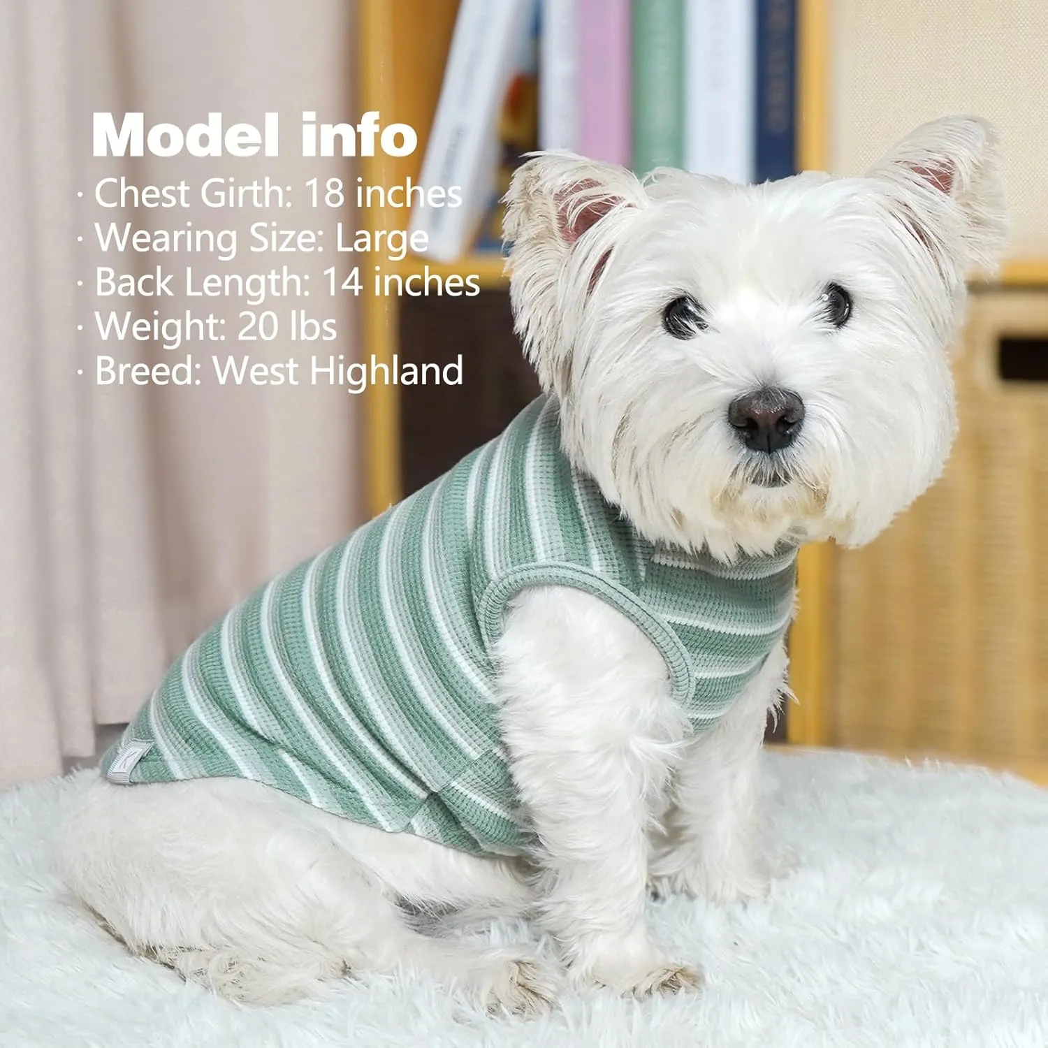 KYEESE 2Pack Waffle Dog Shirts for Small Dogs Stretchy T-Shirts Lightweight Tank Top Sleeveless Striped Vest Breathable Cat Tee, Medium, Green Striped