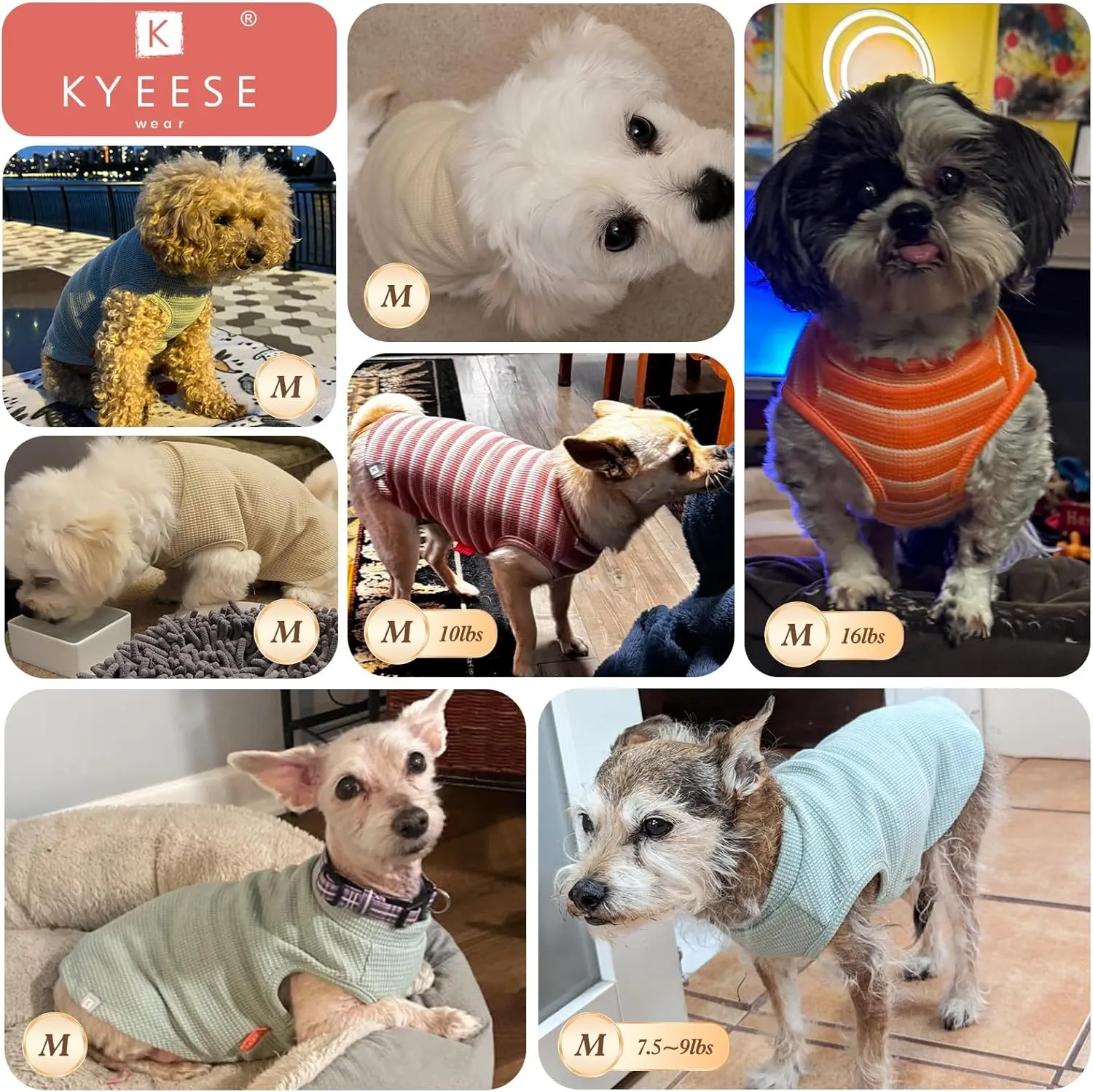 KYEESE 2Pack Waffle Dog Shirts for Small Dogs Stretchy T-Shirts Lightweight Tank Top Sleeveless Striped Vest Breathable Cat Tee, Medium, Green Striped