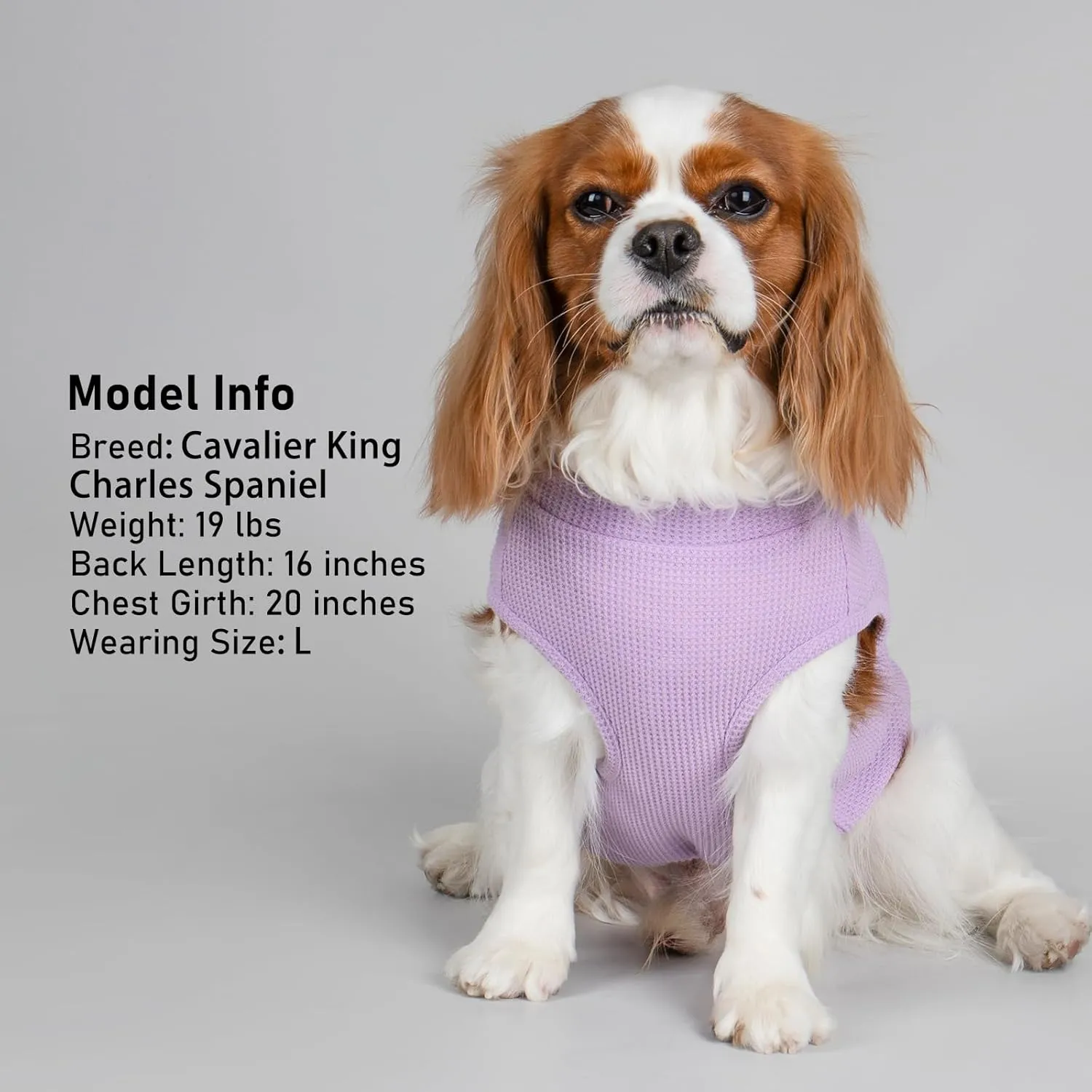 KYEESE Waffle Dog Shirts for Small Dogs Soft Stretchy T-Shirts Lightweight Puppy Tank Top Sleeveless Pet Vest with Cute Pocket and Plaid Patchwork for Daily Wear, Large