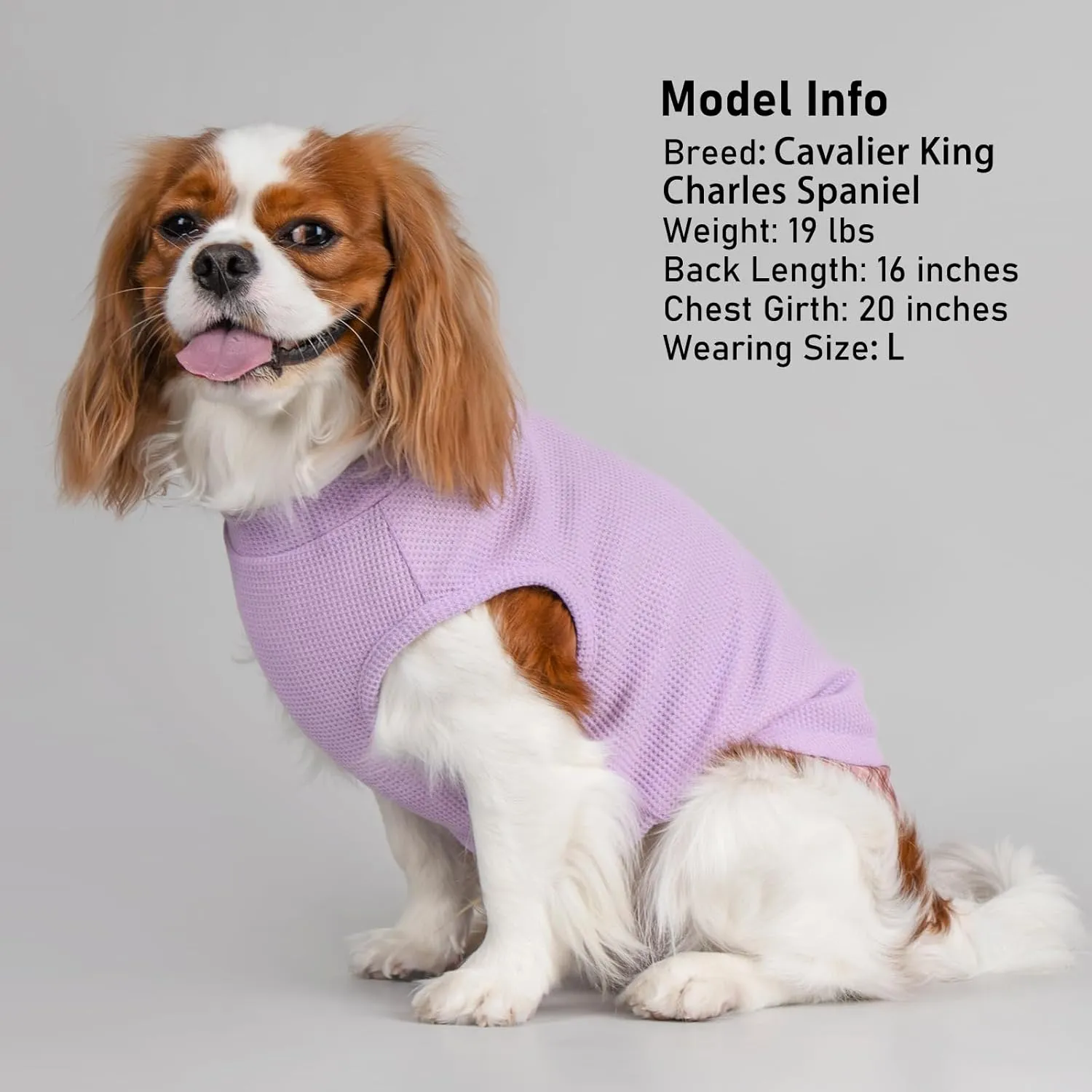 KYEESE Waffle Dog Shirts for Small Dogs Soft Stretchy T-Shirts Lightweight Puppy Tank Top Sleeveless Pet Vest with Cute Pocket and Plaid Patchwork for Daily Wear, Large
