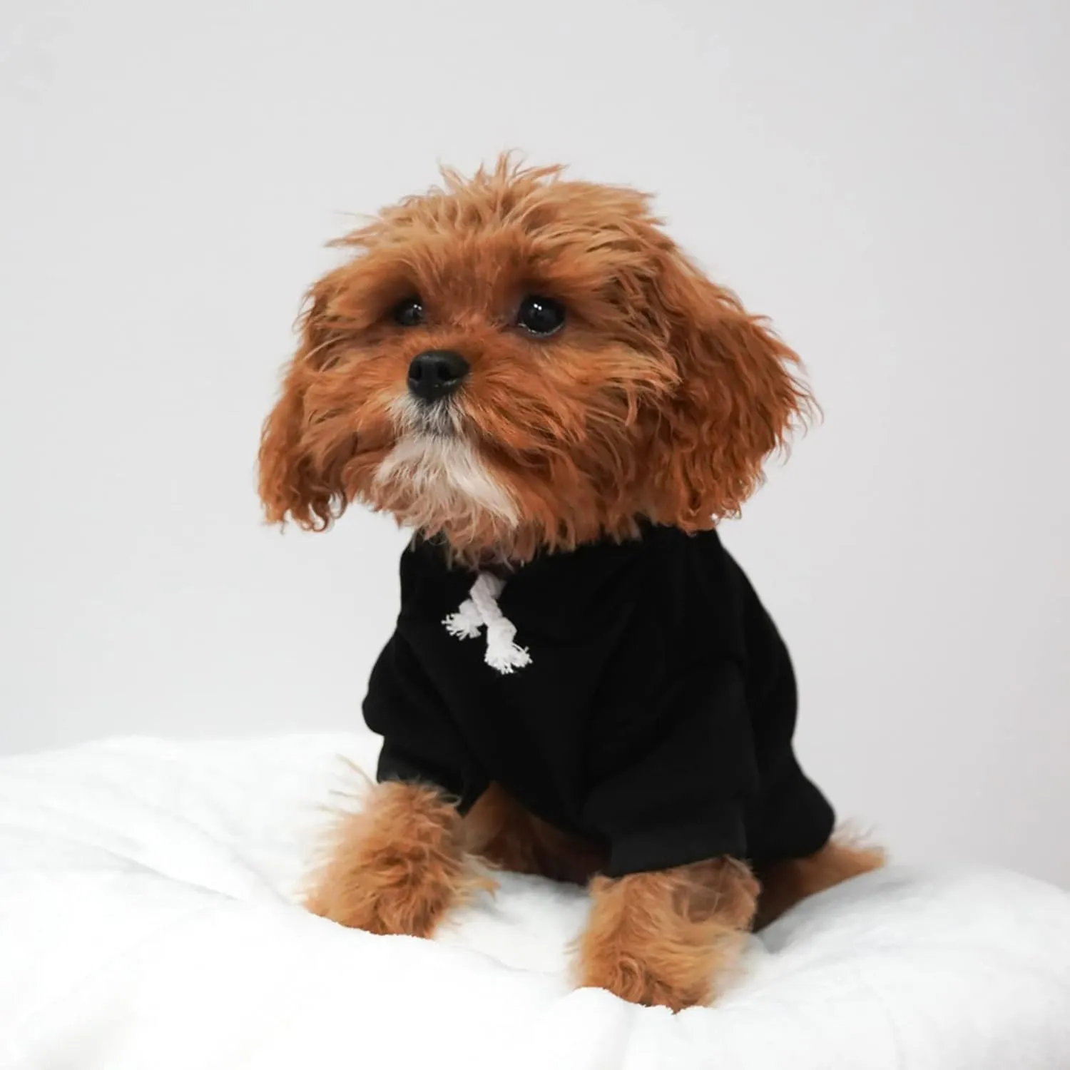 Love My Sailor Dog Hoodie Fleece Lined Pullover Sweatshirt with Leash Hole (Hot Pink, Medium 90)