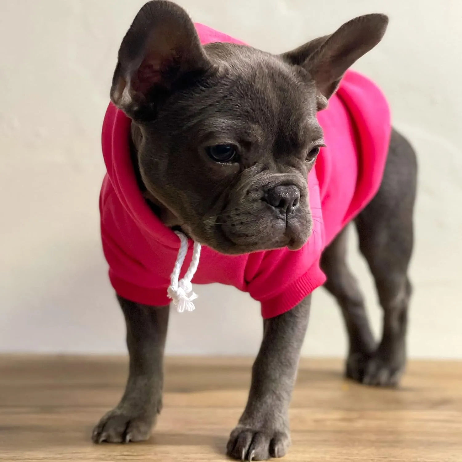 Love My Sailor Dog Hoodie Fleece Lined Pullover Sweatshirt with Leash Hole (Hot Pink, Medium 90)