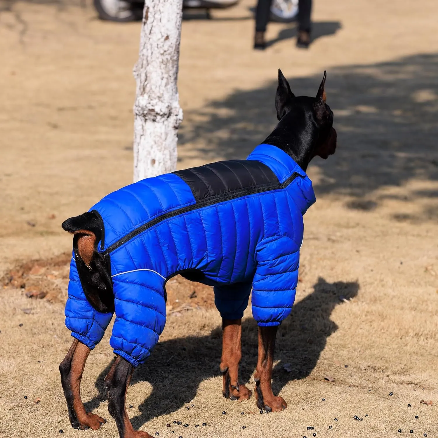 Lovelonglong Dog Coat Dog Warm Jacket, 4 Legs Covered Waterproof Windproof Reflective Warm Dog Vest, Zippered Adjustable Outdoor Dog Snow Jacket for Small Medium Large Dogs Blue XXXL