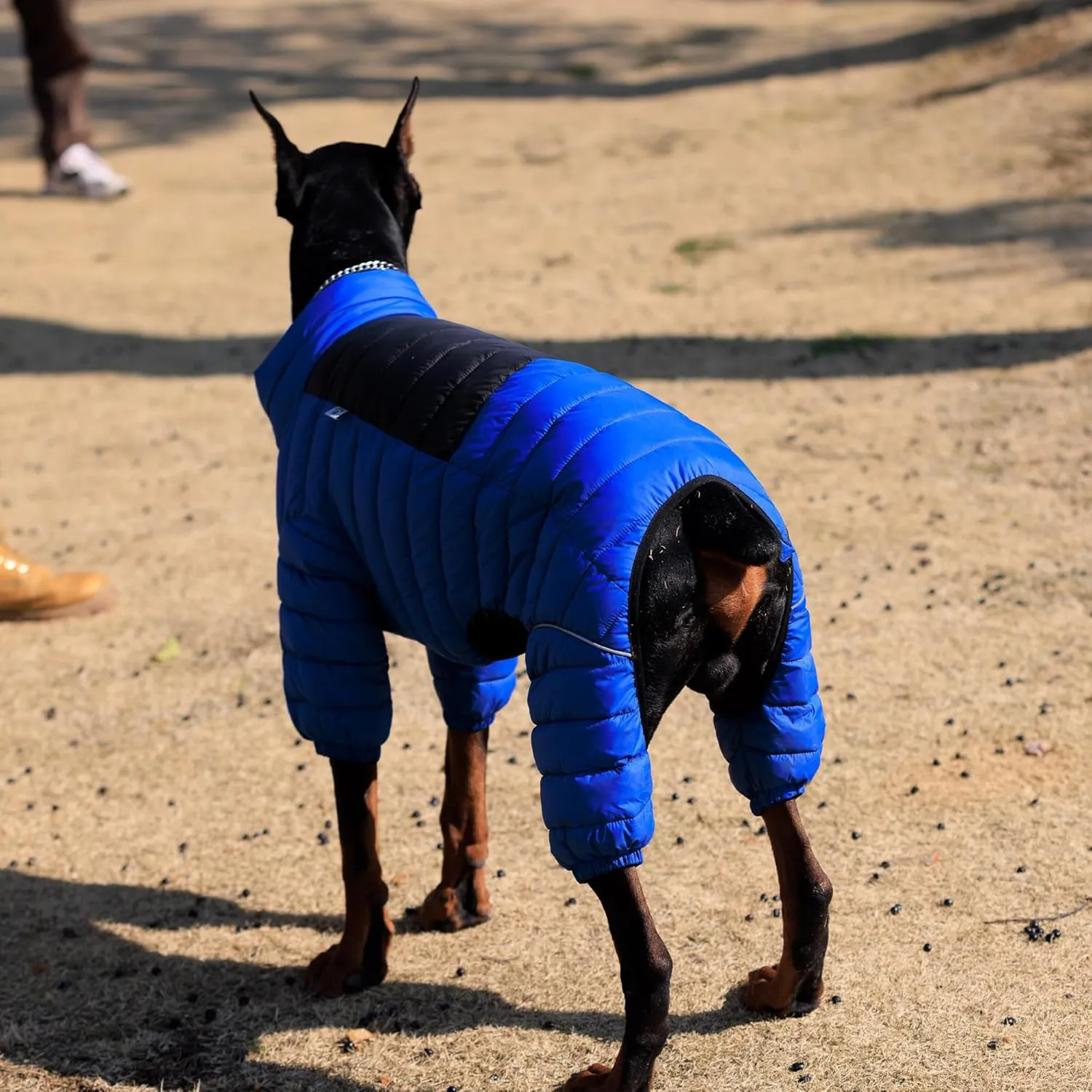 Lovelonglong Dog Coat Dog Warm Jacket, 4 Legs Covered Waterproof Windproof Reflective Warm Dog Vest, Zippered Adjustable Outdoor Dog Snow Jacket for Small Medium Large Dogs Blue XXXL