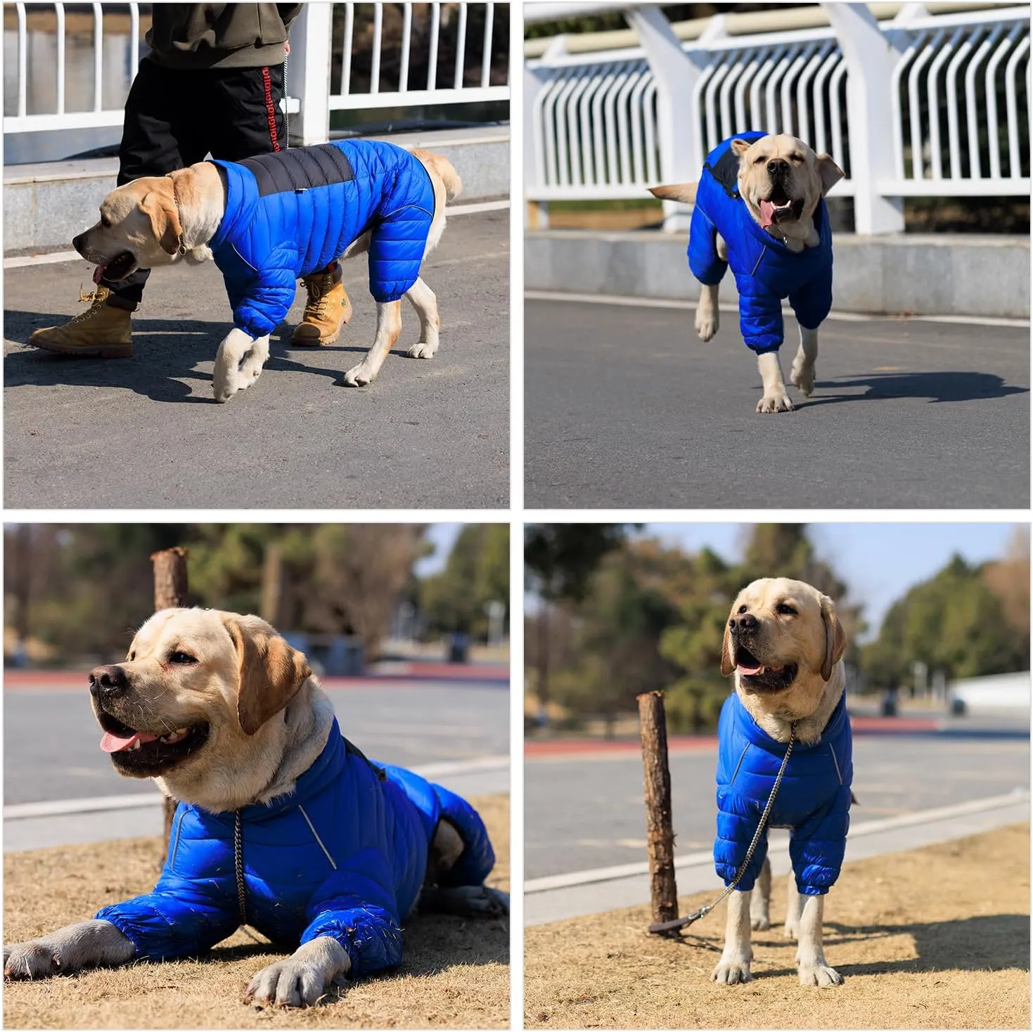 Lovelonglong Dog Coat Dog Warm Jacket, 4 Legs Covered Waterproof Windproof Reflective Warm Dog Vest, Zippered Adjustable Outdoor Dog Snow Jacket for Small Medium Large Dogs Blue XXXL